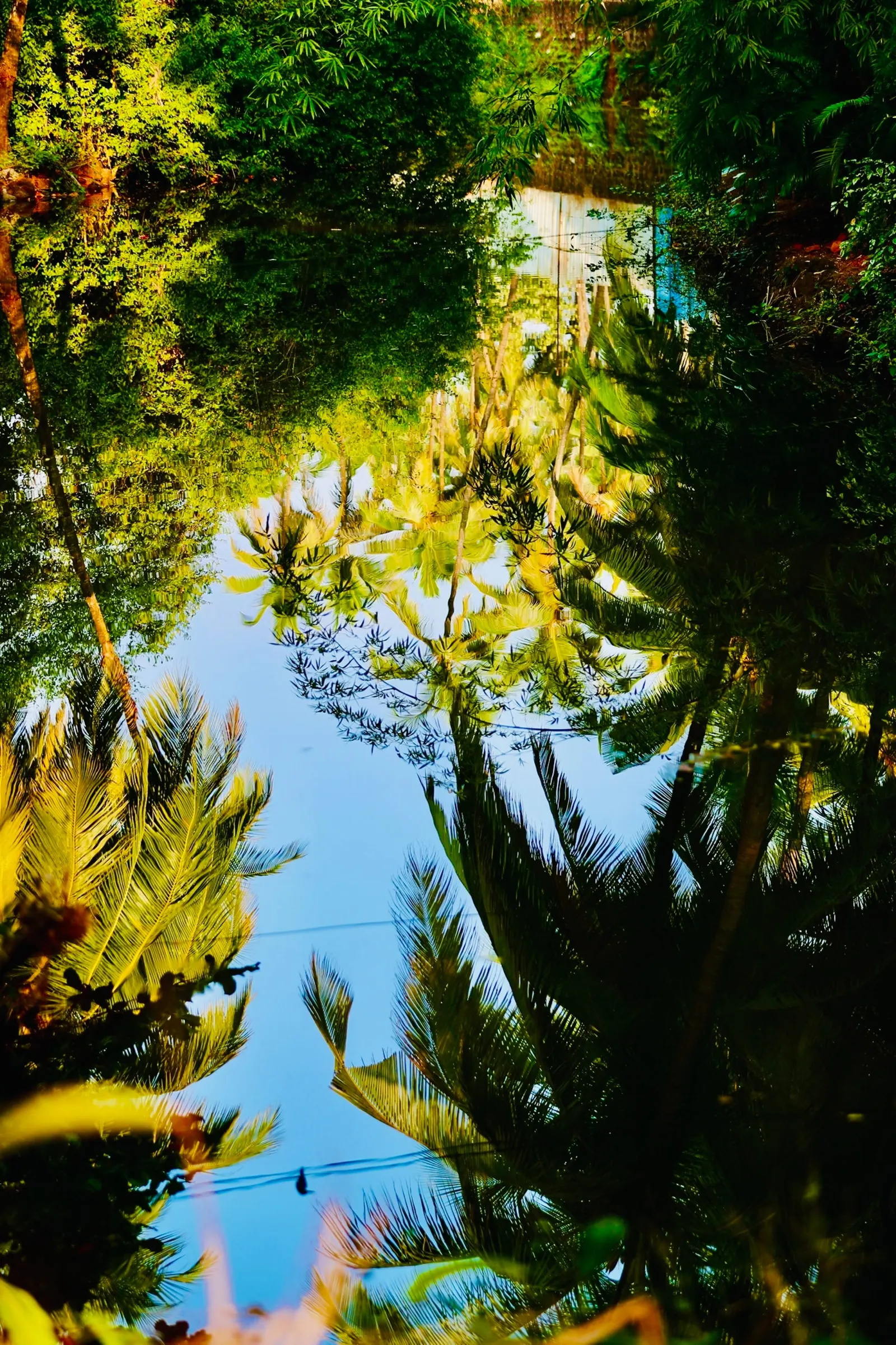 Cozy & bright sweet home close to Patnem beach 32