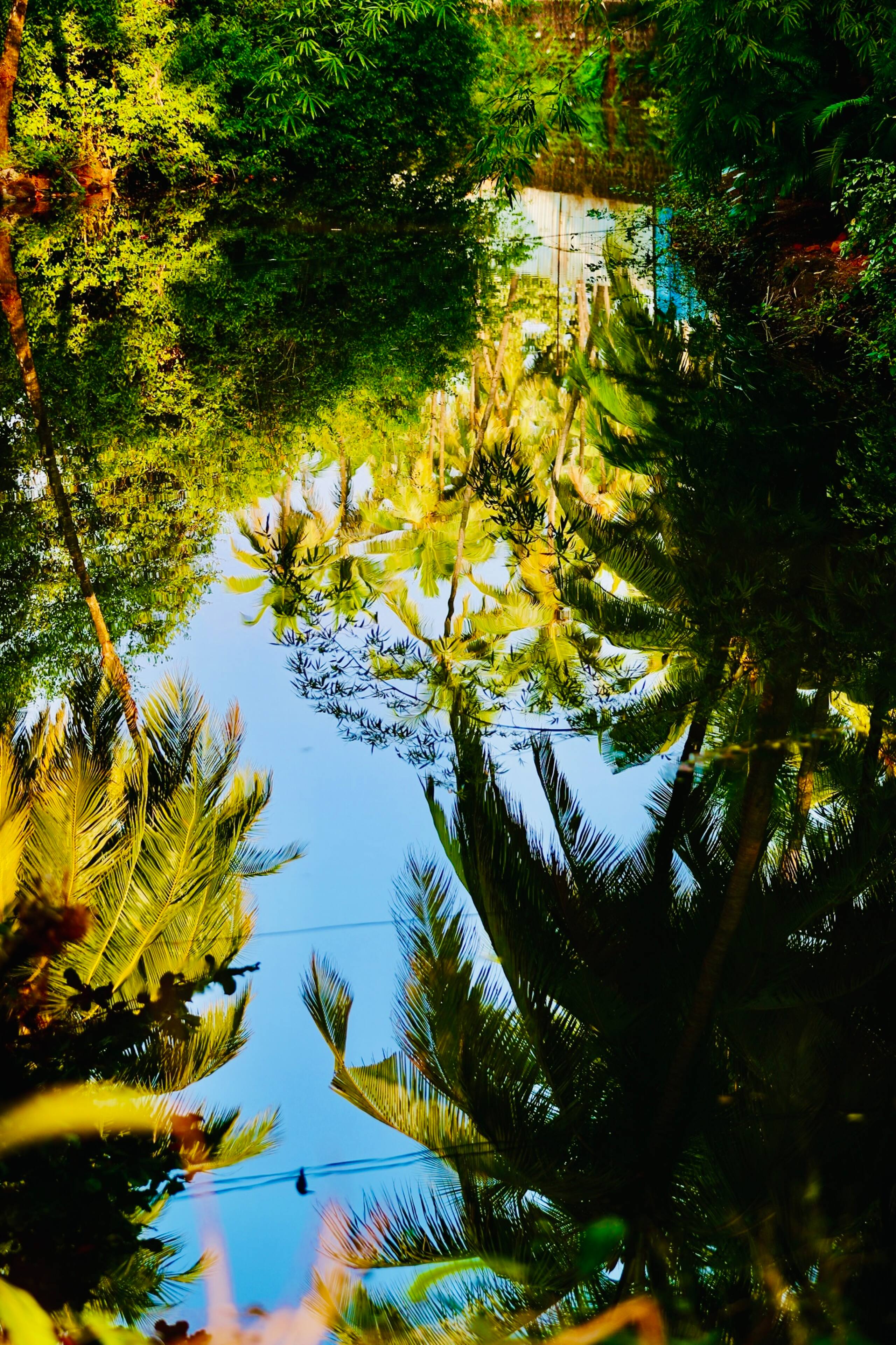 Cozy & bright sweet home close to Patnem beach 32