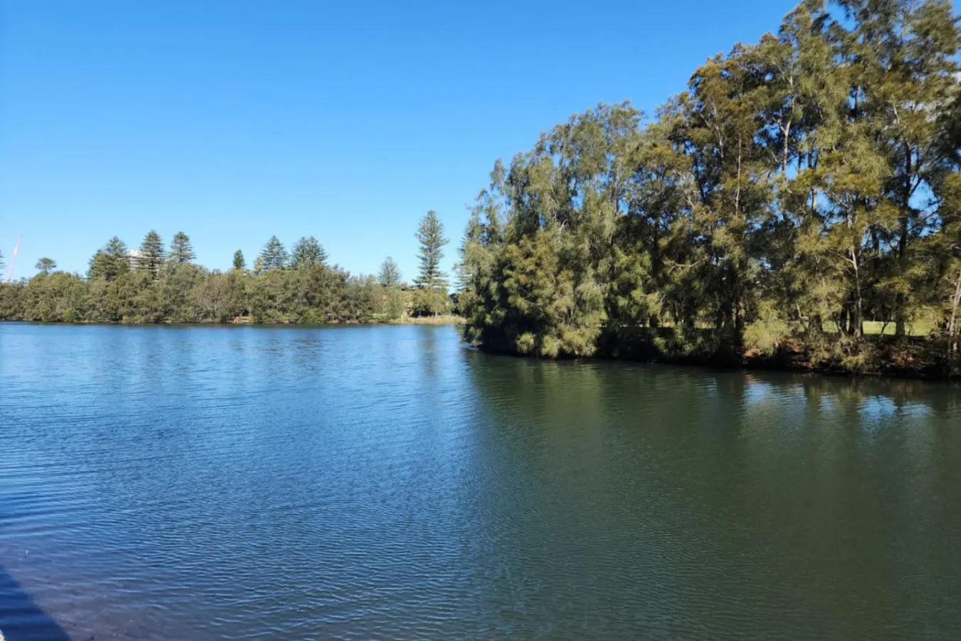 Stunning 2BR Unit in Queenscliff 20