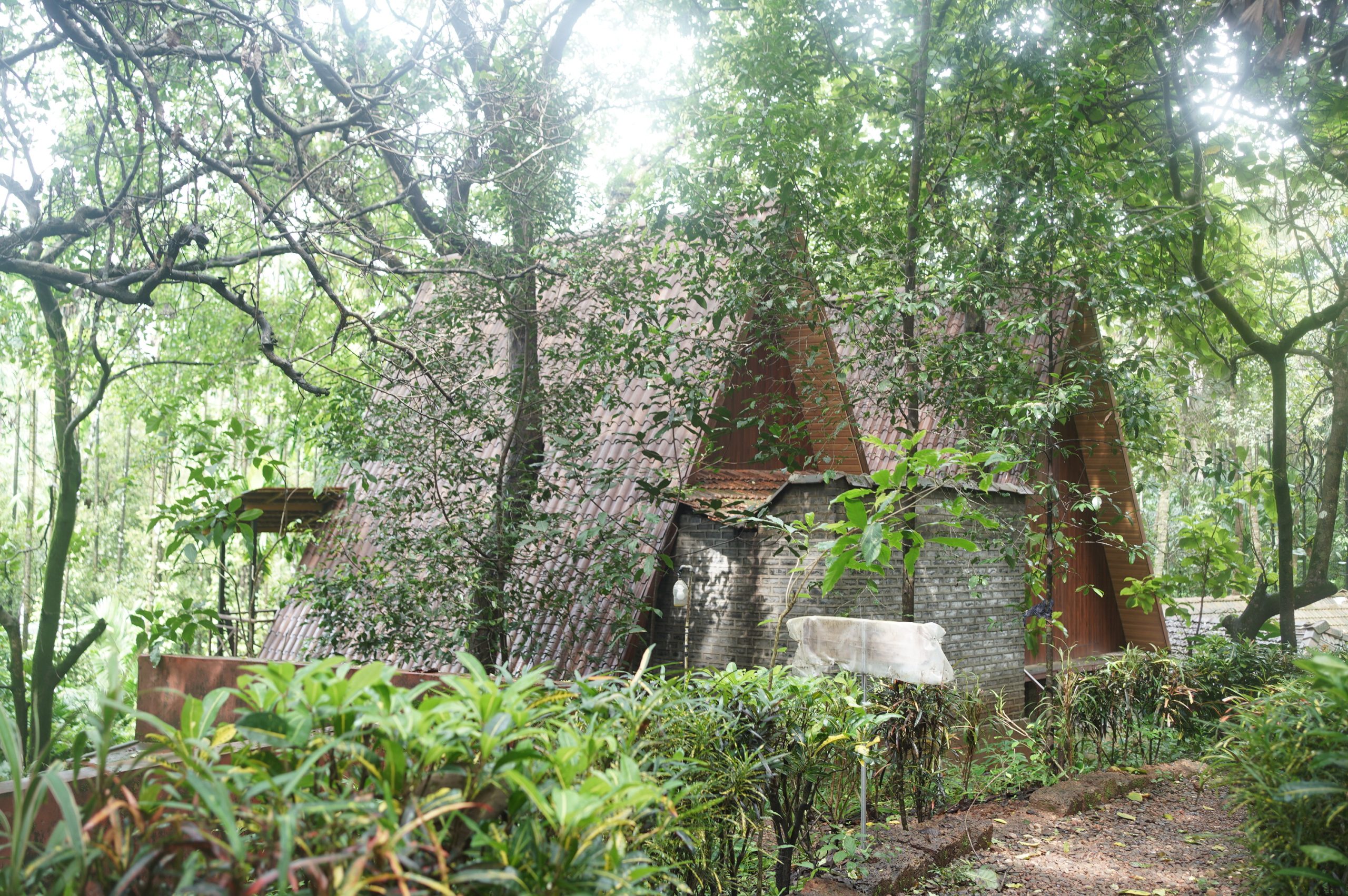 Ultra Luxury Farm Near Agonda Beach 12