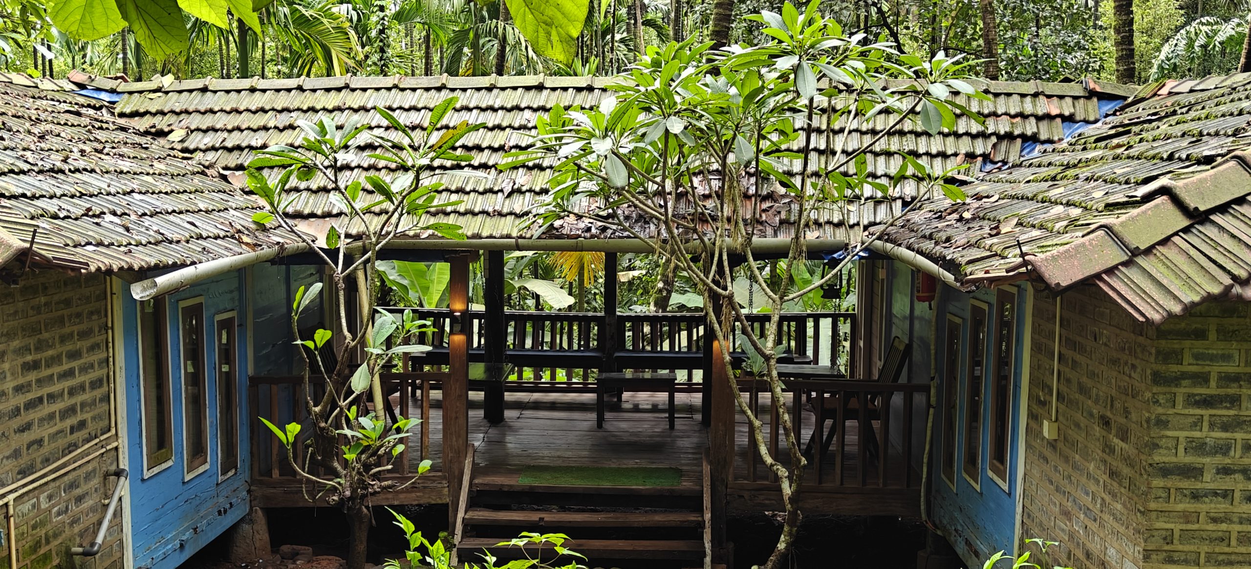 Ultra Luxury Farm Near Agonda Beach 13
