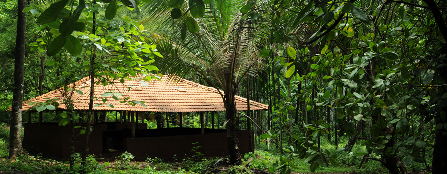 Ultra Luxury Farm Near Agonda Beach 20
