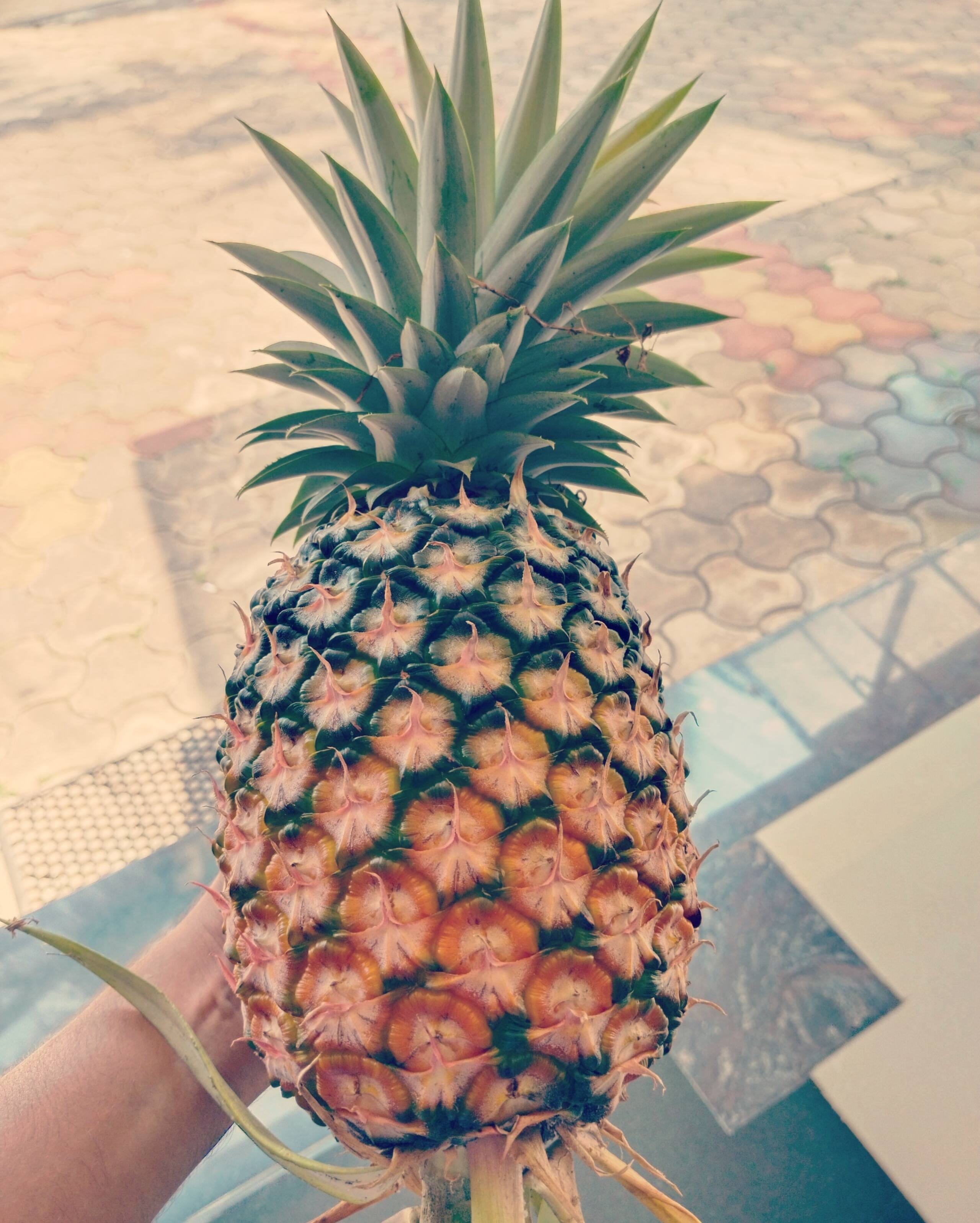 The big pineapple estate suites - Fort pine 19