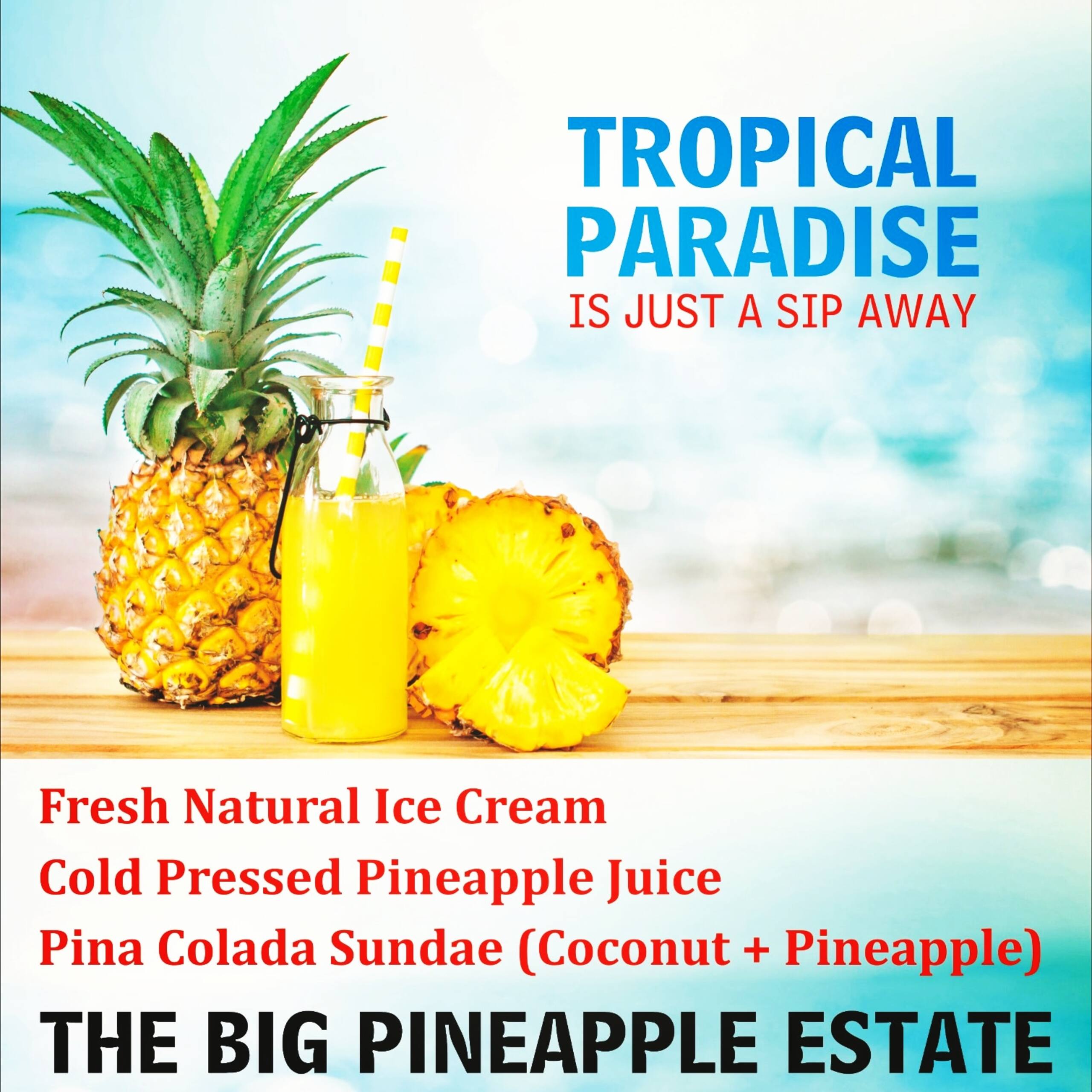 The big pineapple estate suites - Fort pine 3