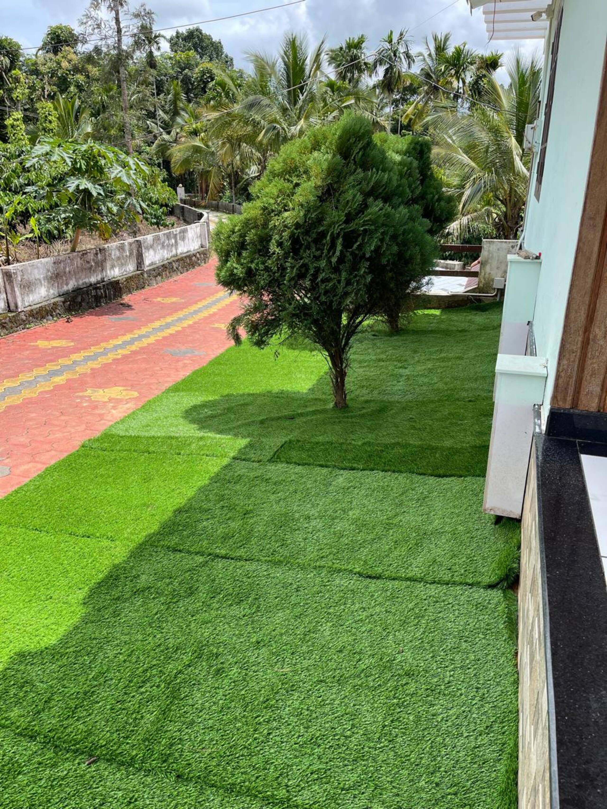 Wayanad Evergreen Oasis — photo 2