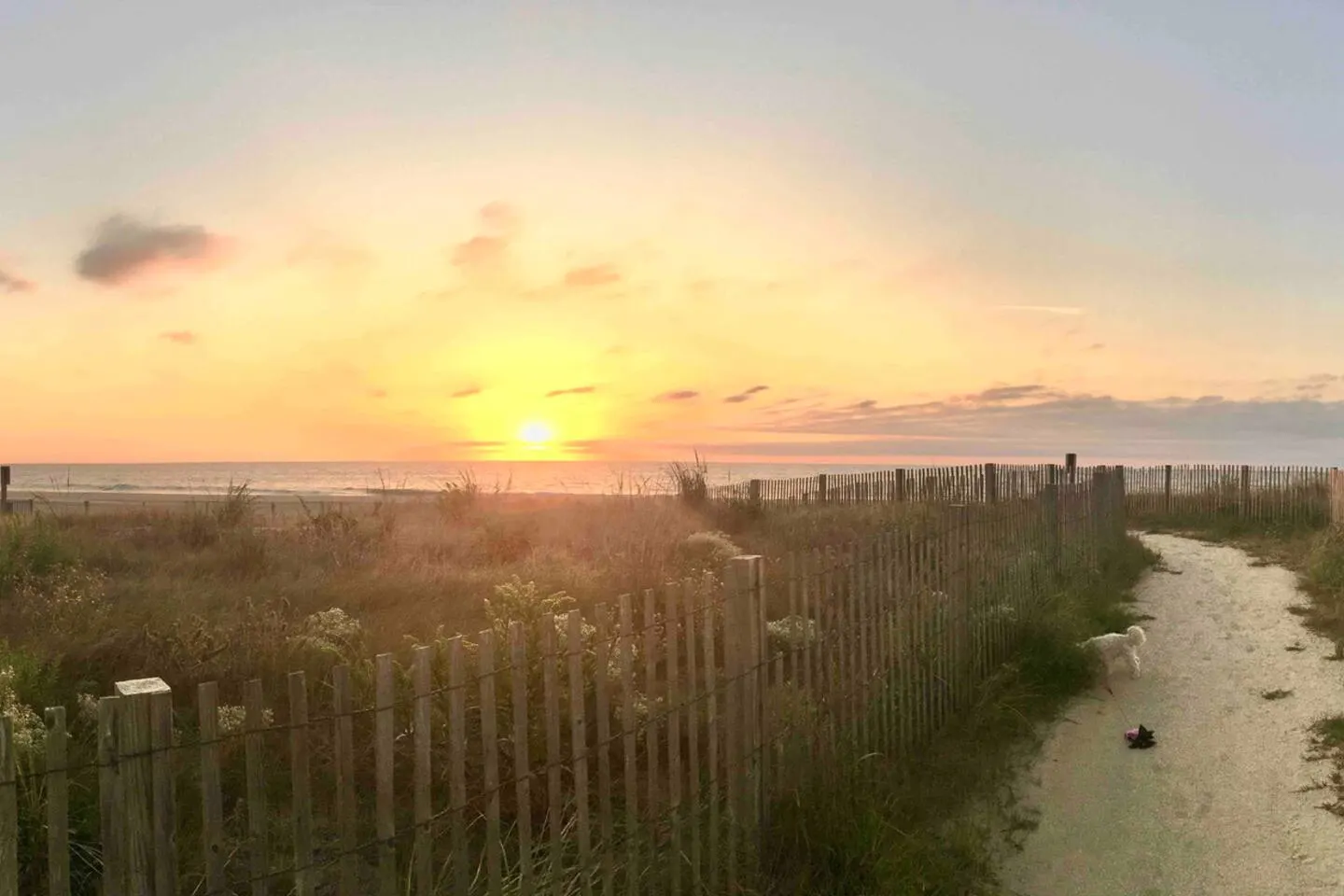 Nothing Beats Oceanfront OCMD!! 11