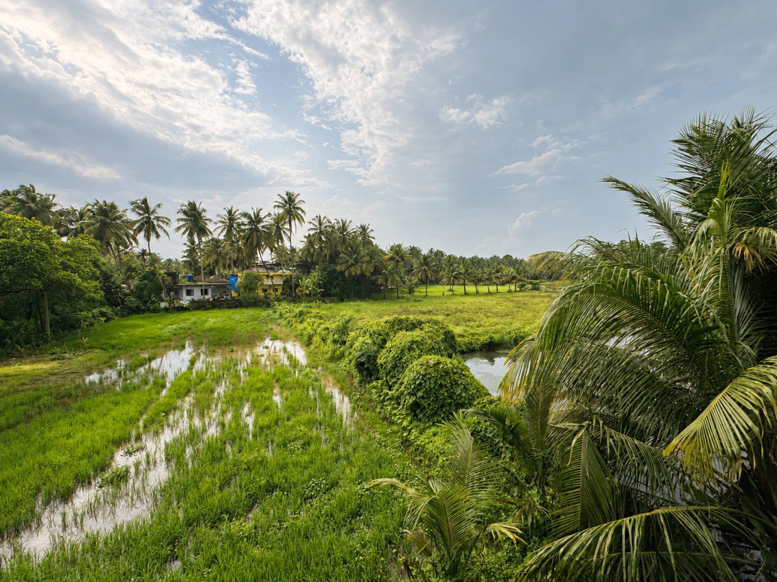 Riverview 2BHK | 10 mins from Morjim & Vagator 20