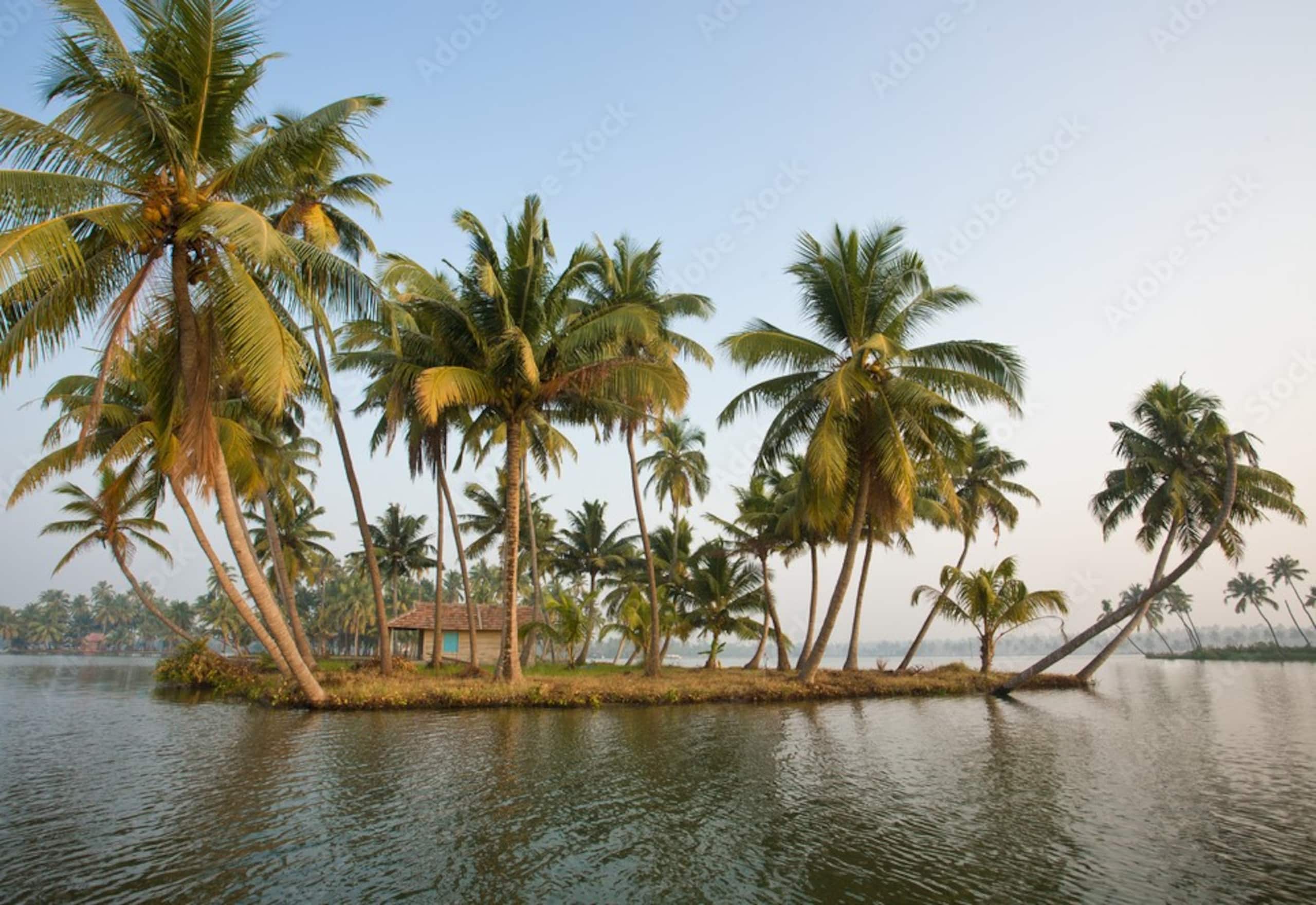 Theeraa stunning beachfront villa in Cherai 20