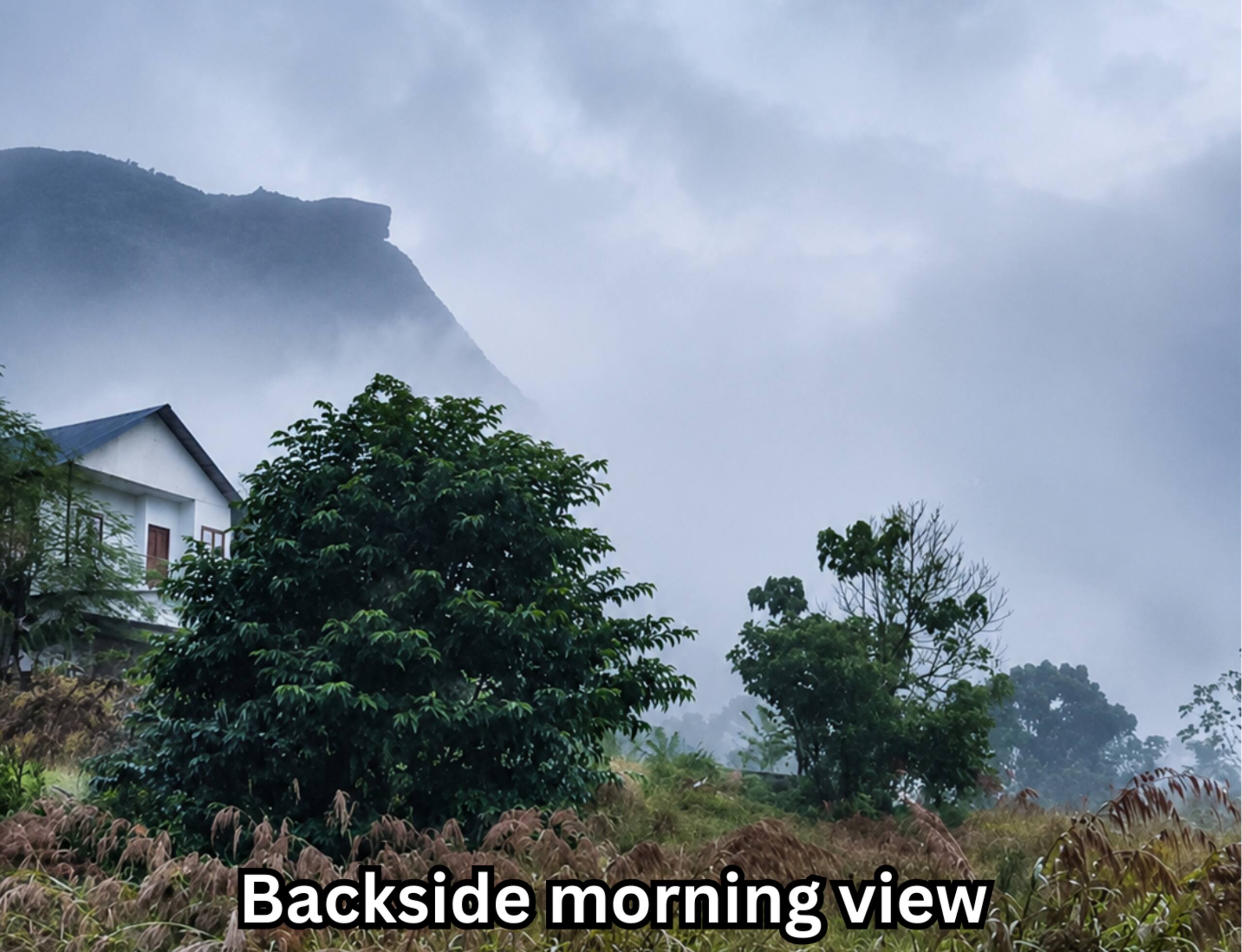 Bougainvillea homestay {4BHK} with swimming pool 19