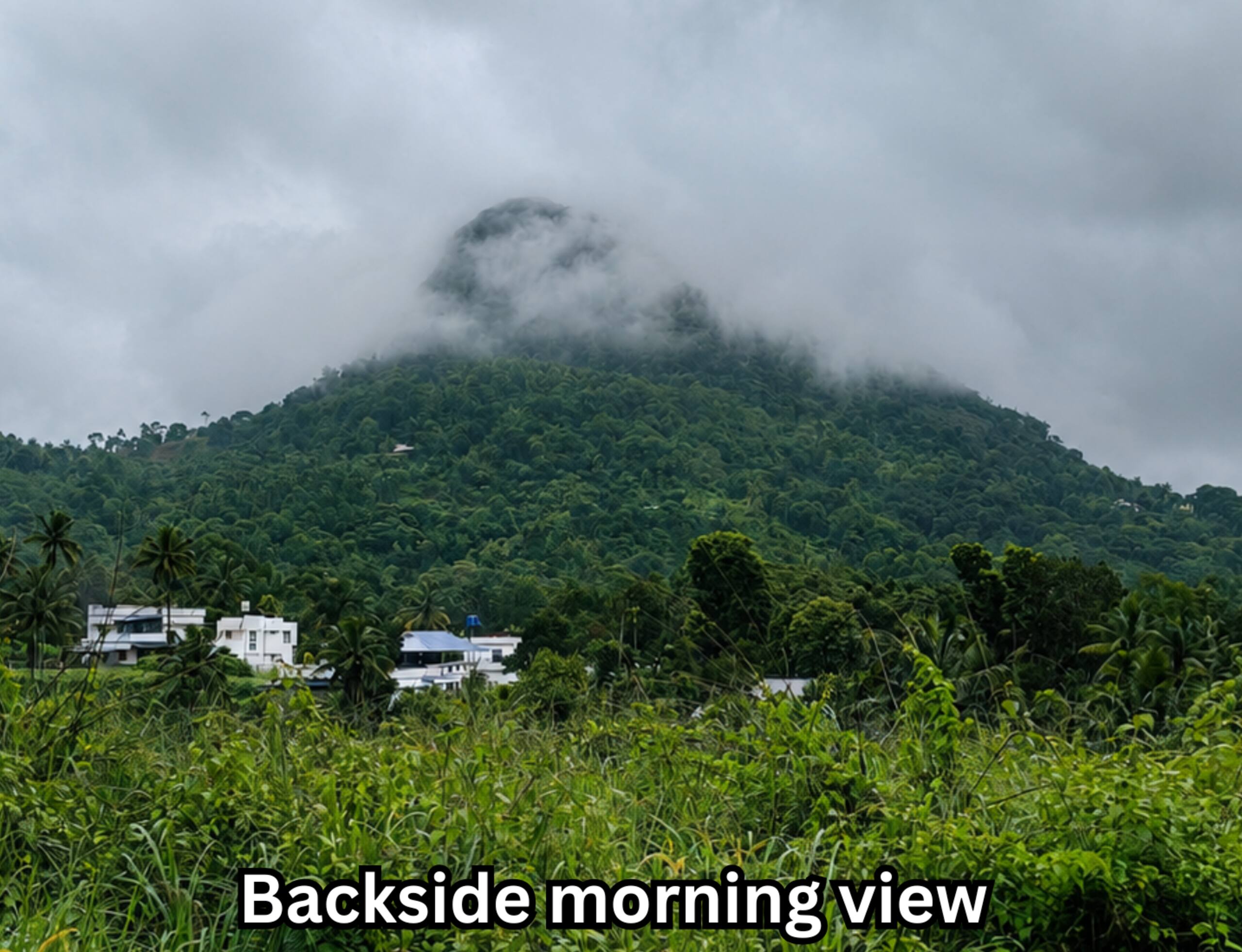 Bougainvillea homestay {4BHK} with swimming pool 21