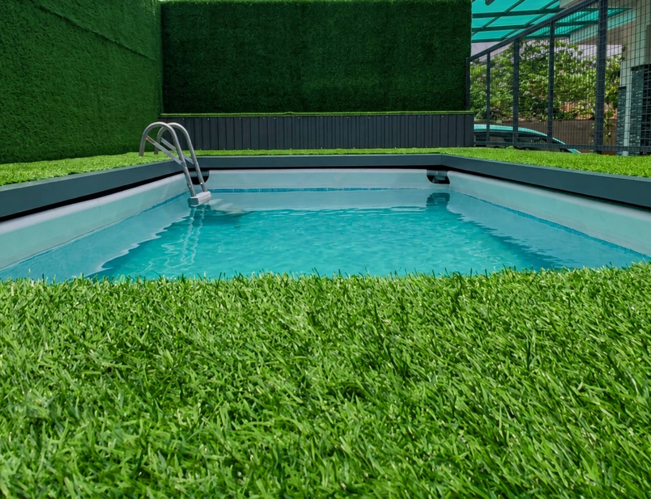 Bougainvillea homestay {4BHK} with swimming pool 17