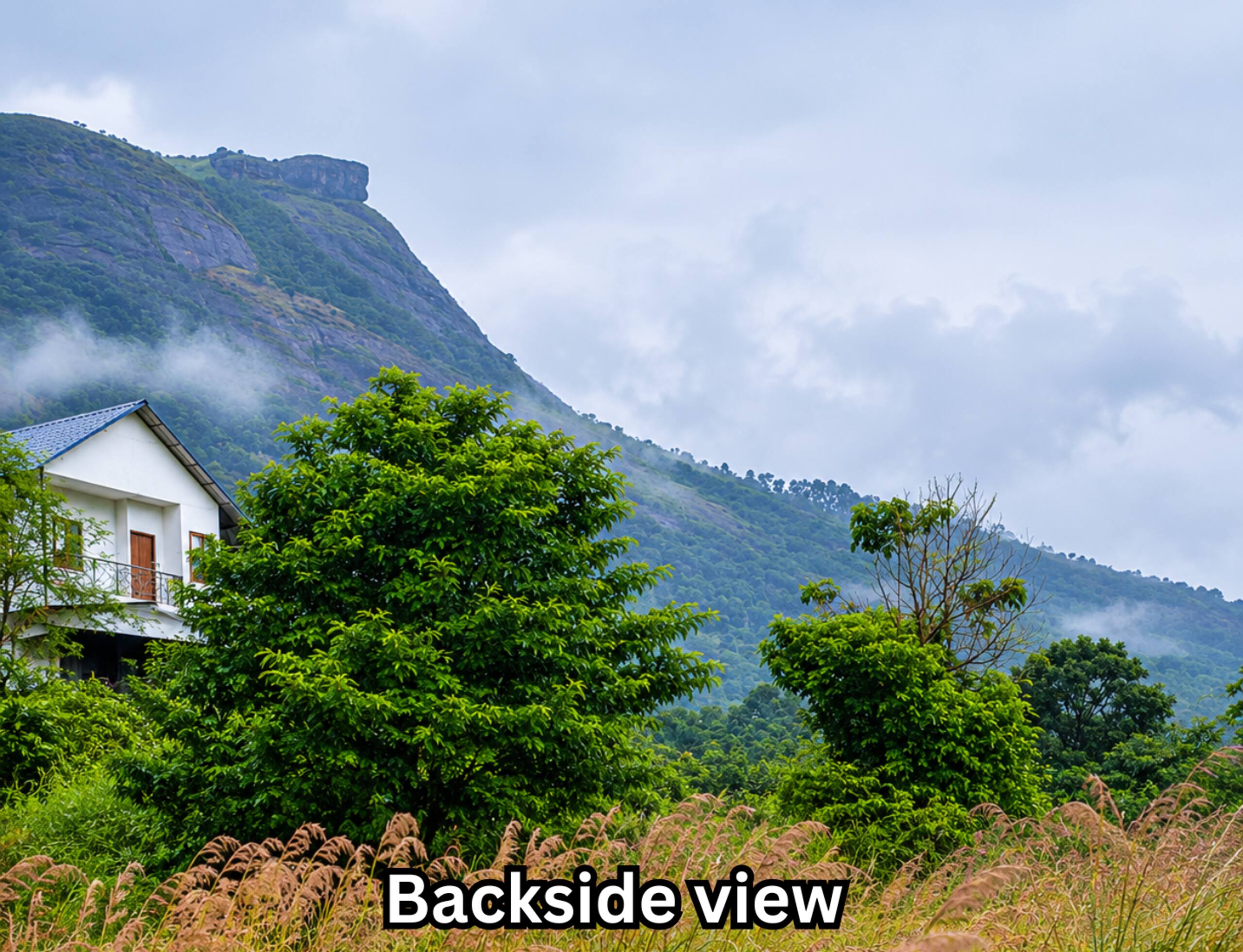 Bougainvillea homestay {4BHK} with swimming pool 18