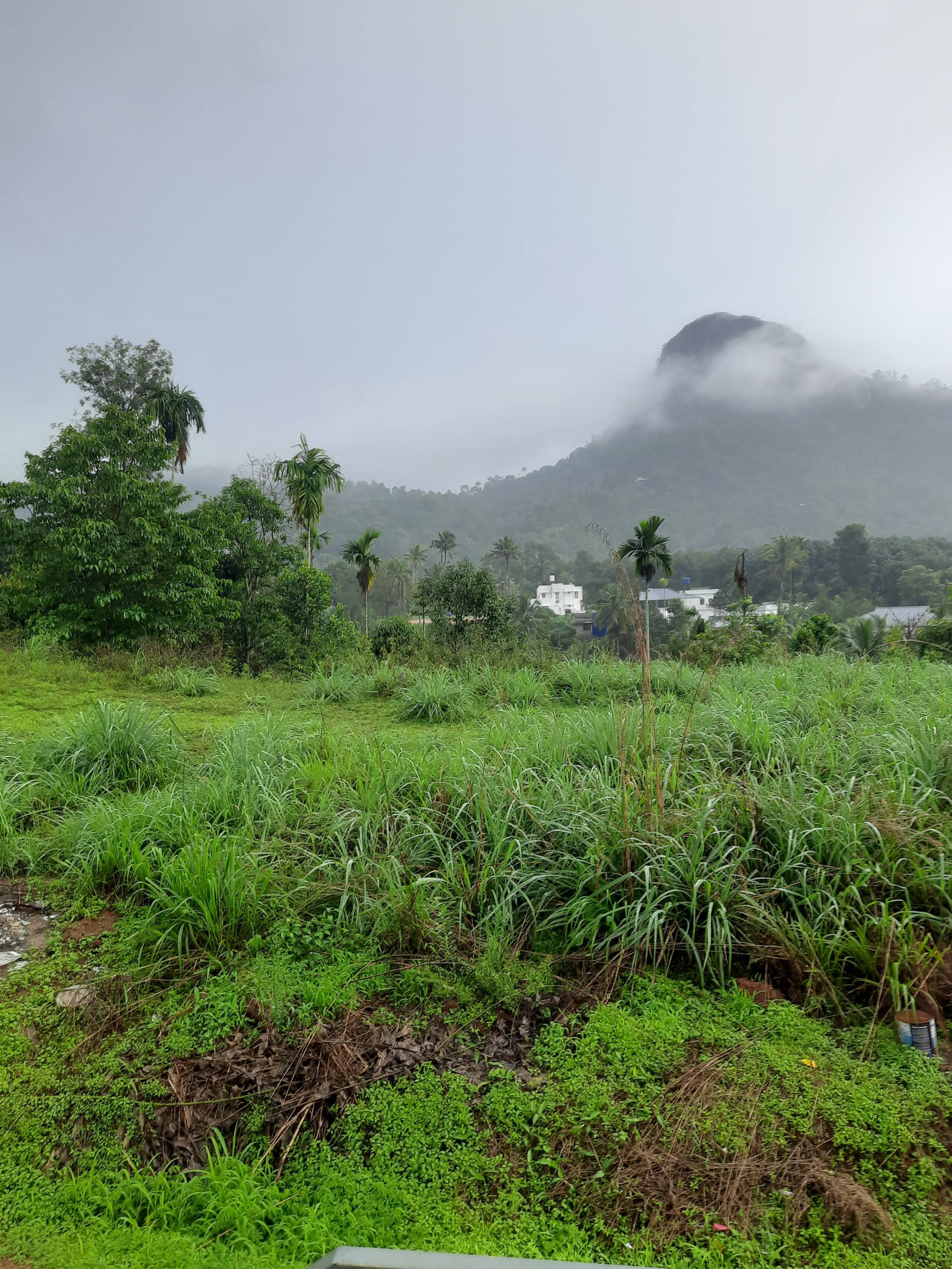 Bougainvillea homestay {4BHK} with swimming pool 2