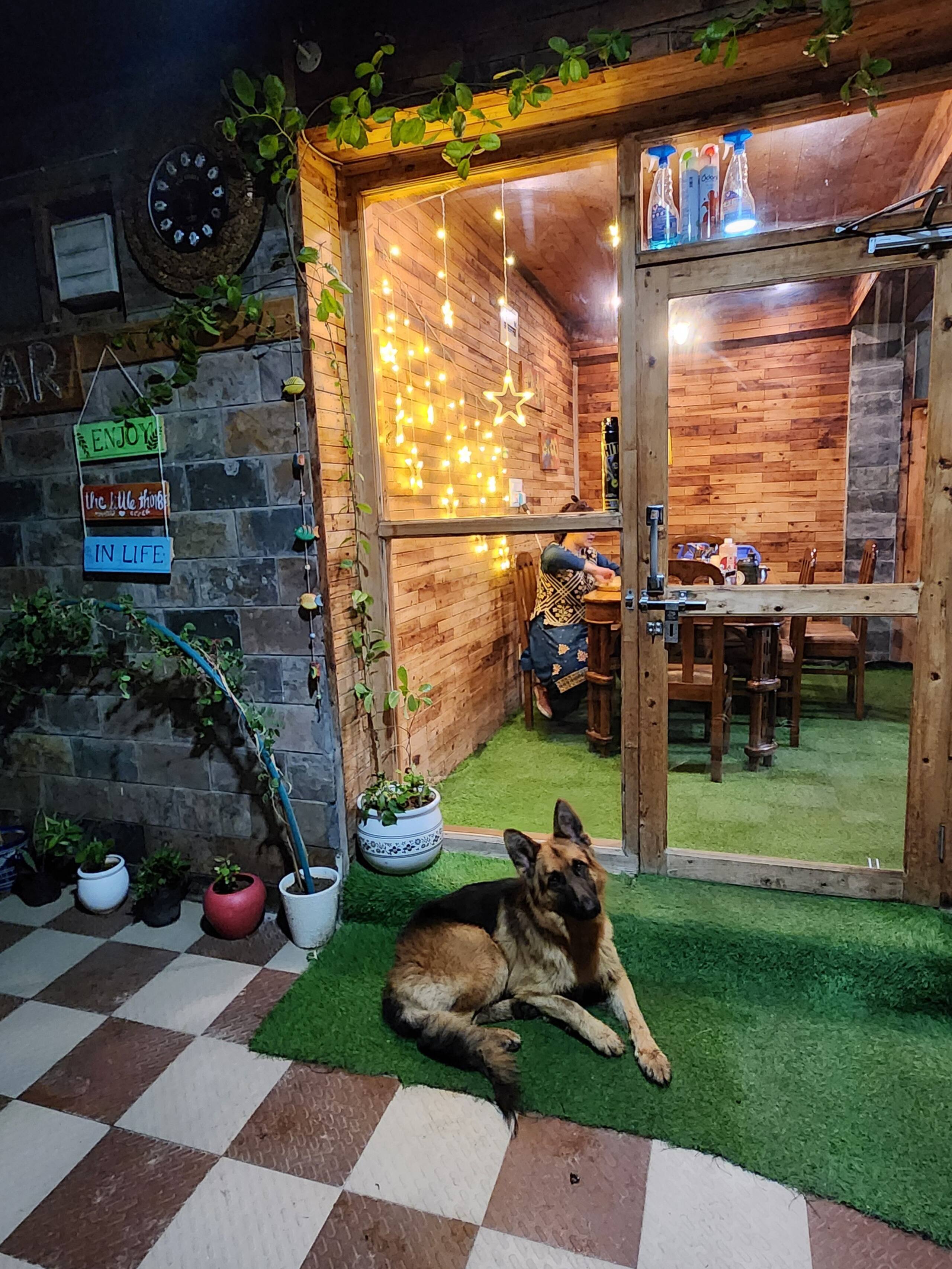7 room villa Talaighar Farmstay shimla kufri 10