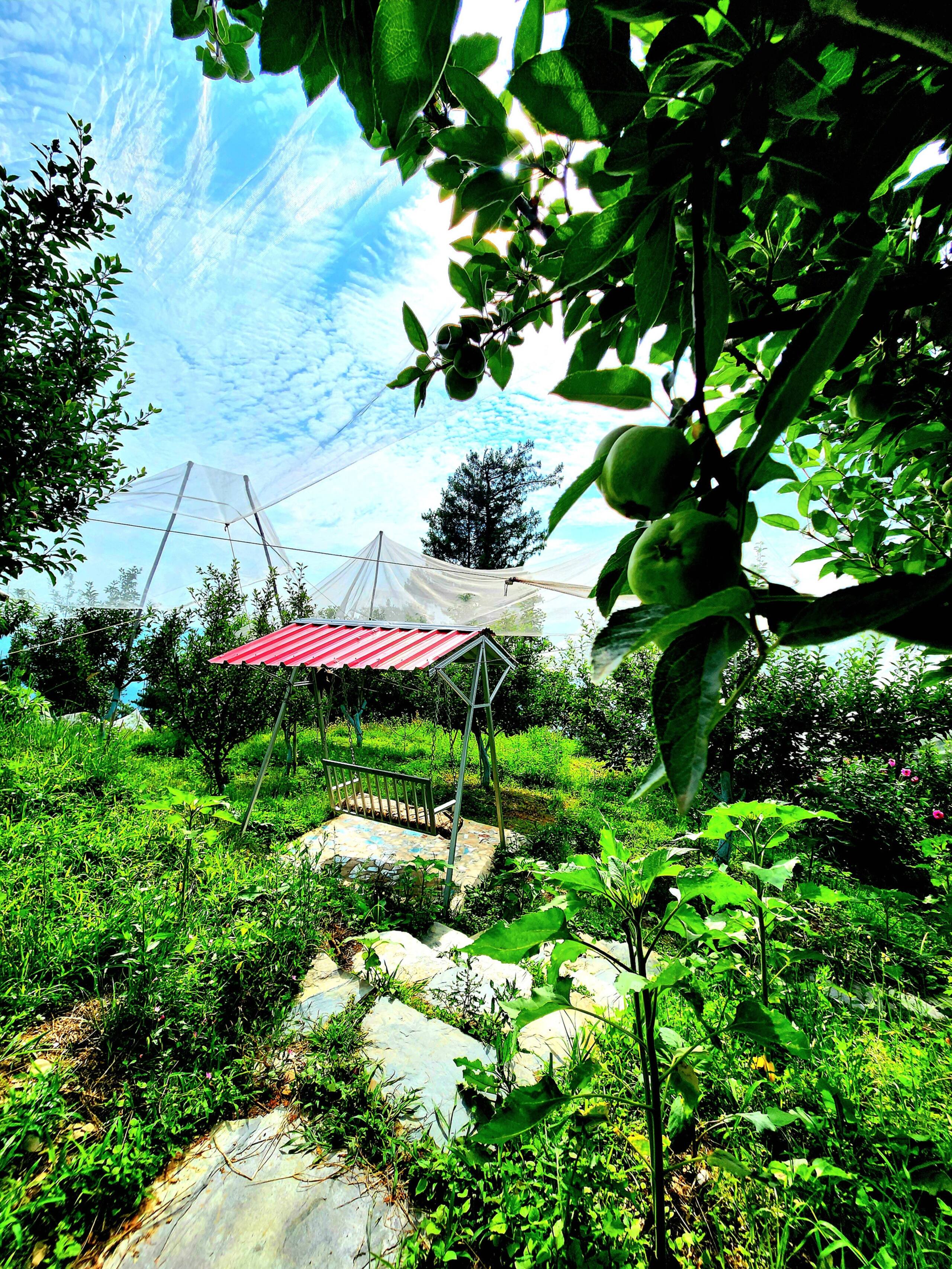 7 room villa Talaighar Farmstay shimla kufri 6