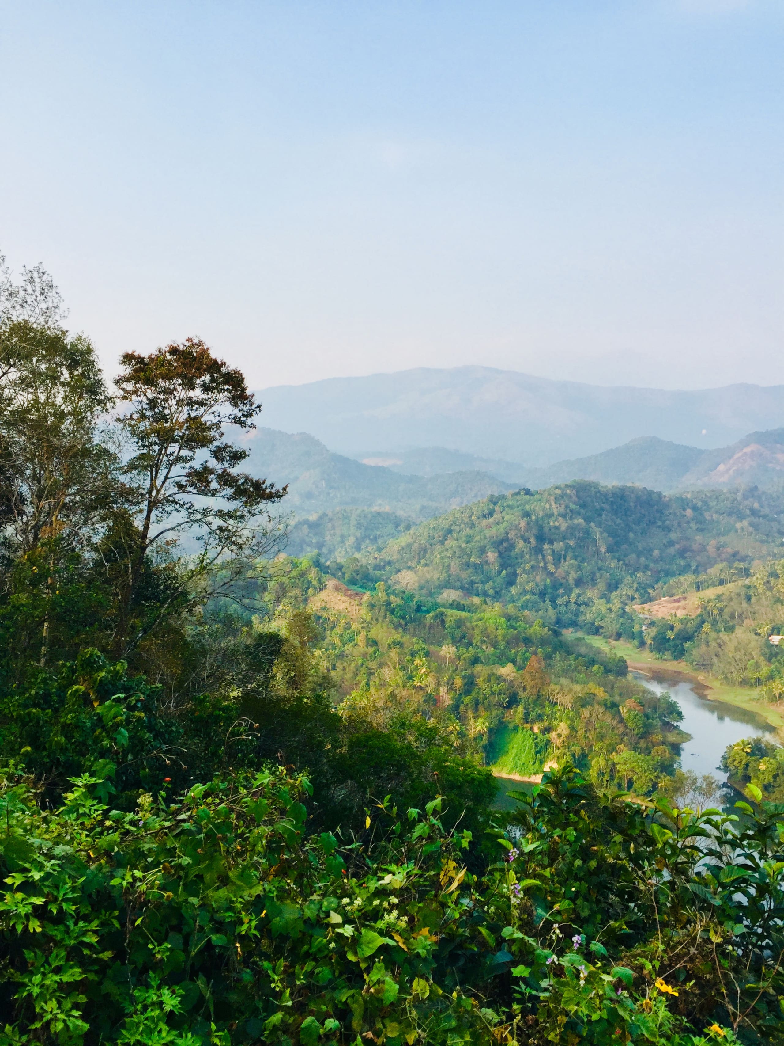 Lakeview Inn, Kallarkutty - Waterfront Homestay 26