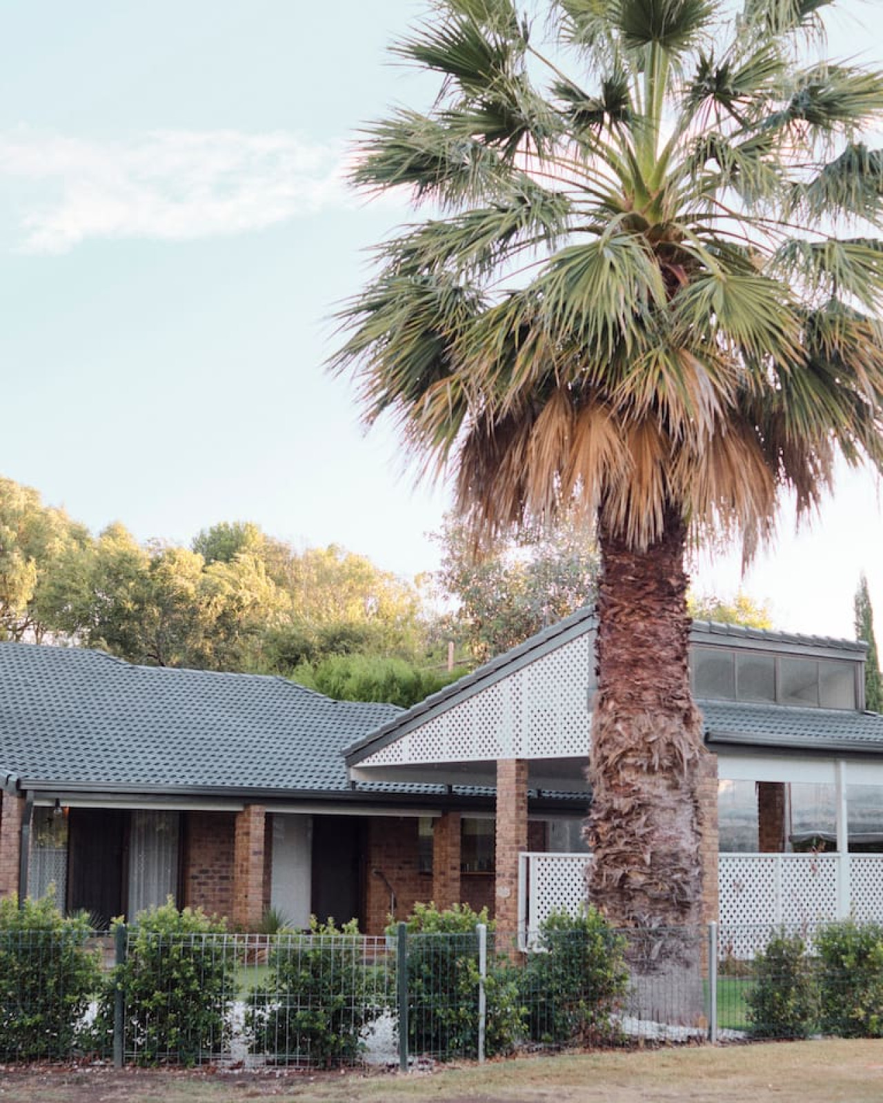 The Palms. Port Willunga