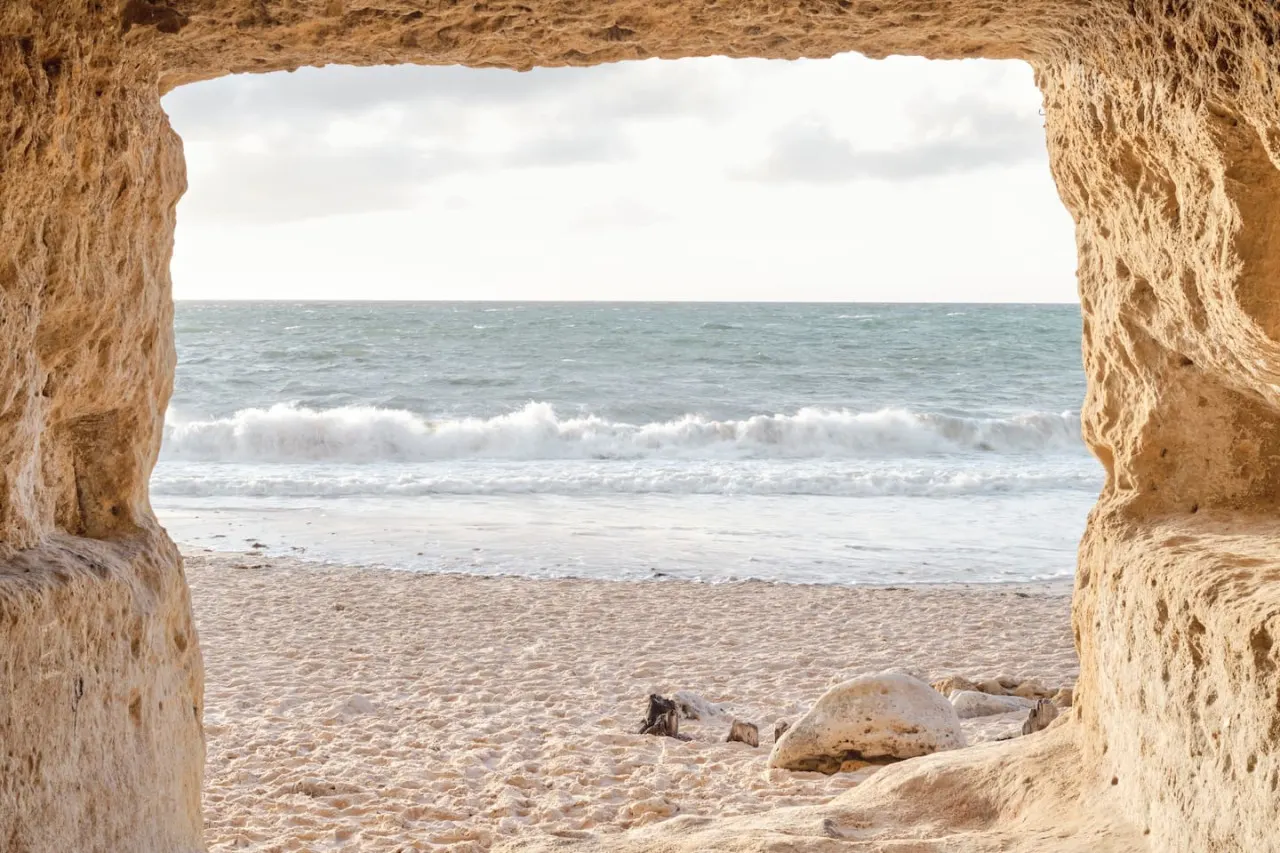 The Palms. Port Willunga 9