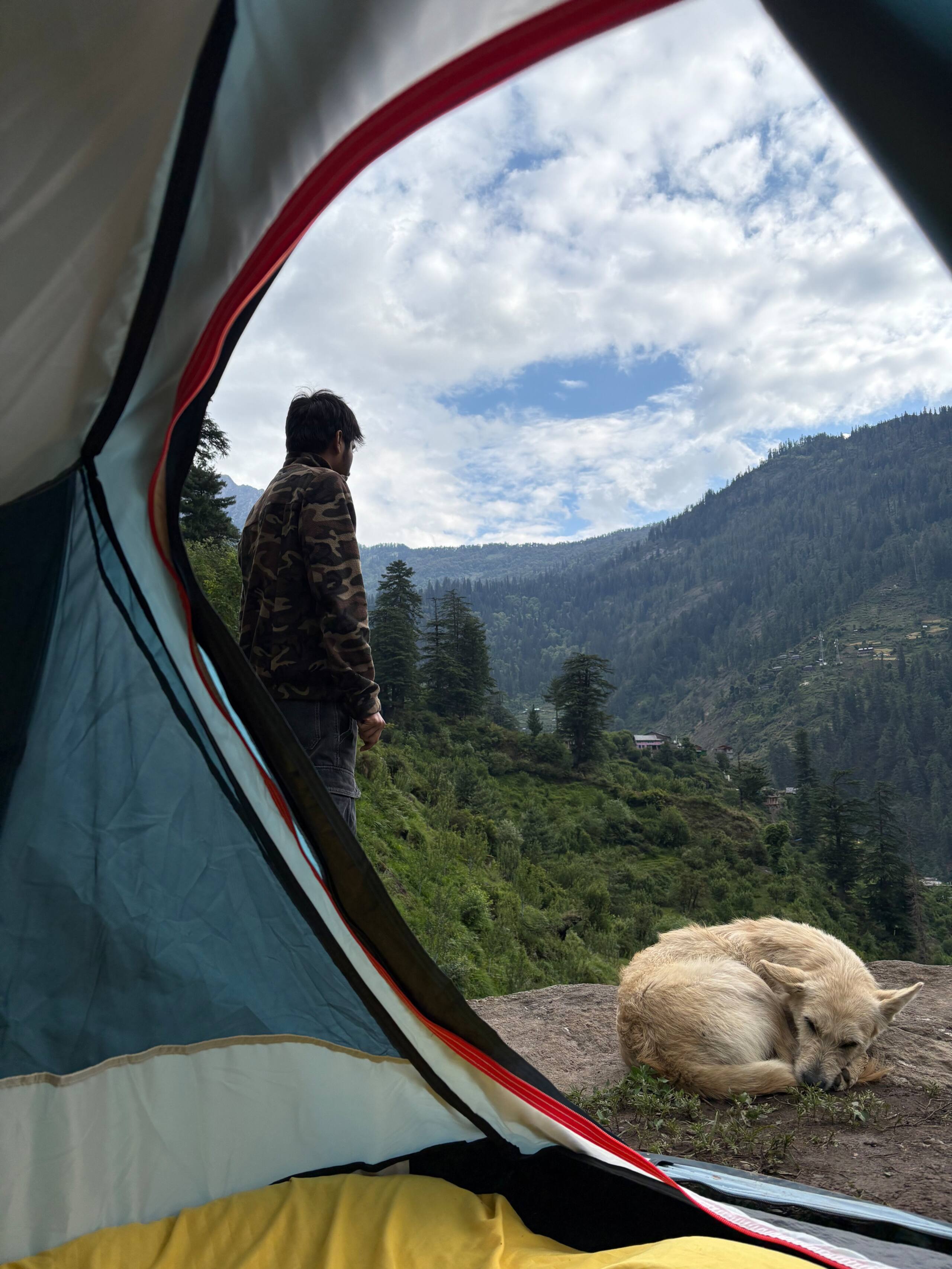 Stargazer Tent by Shunya — photo 4