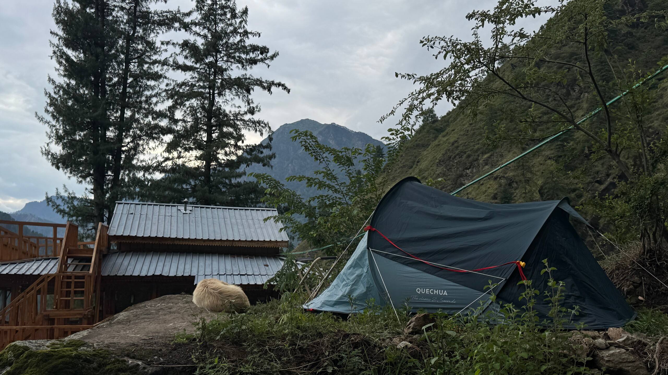 Stargazer Tent by Shunya