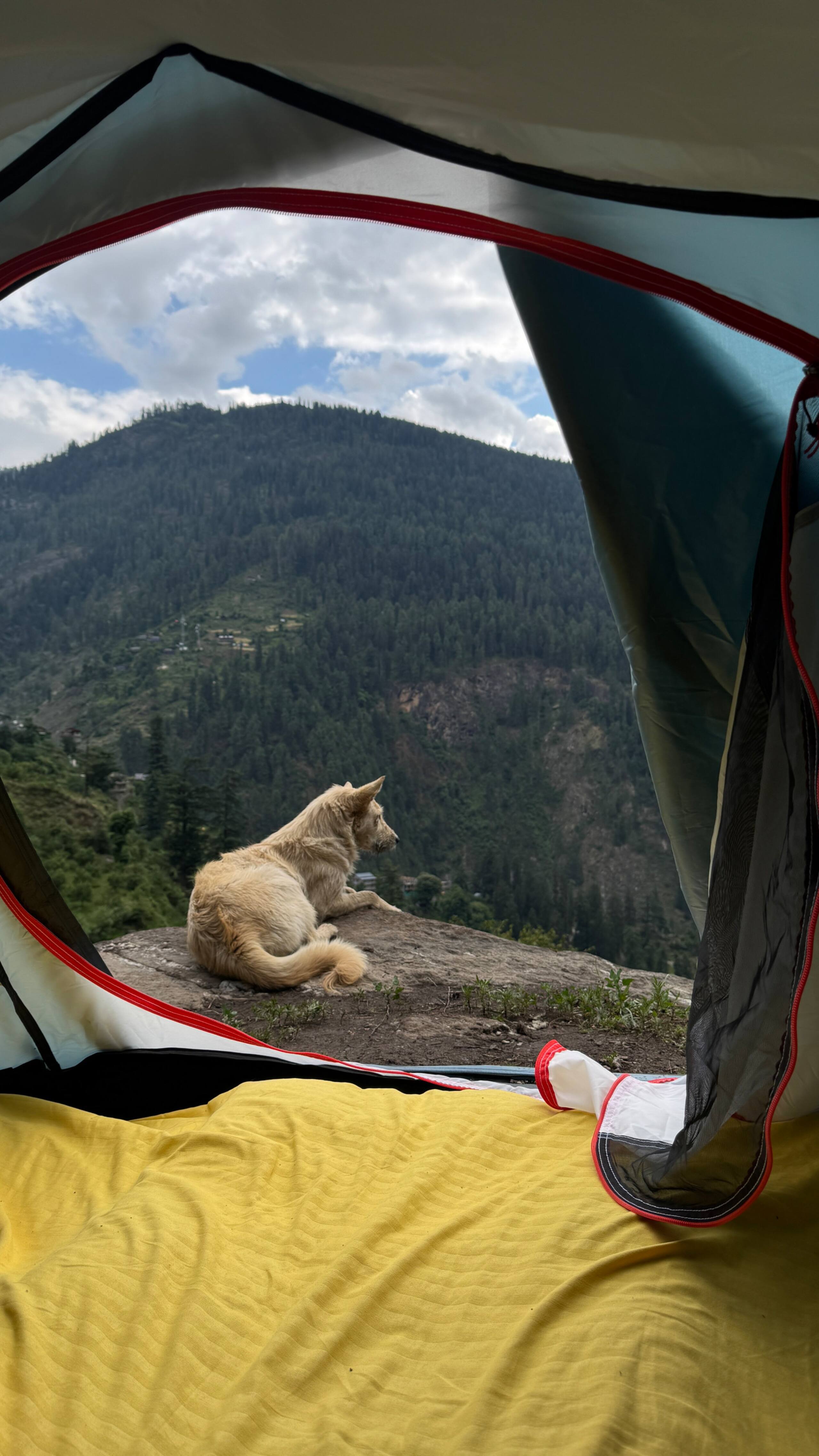 Stargazer Tent by Shunya — photo 3