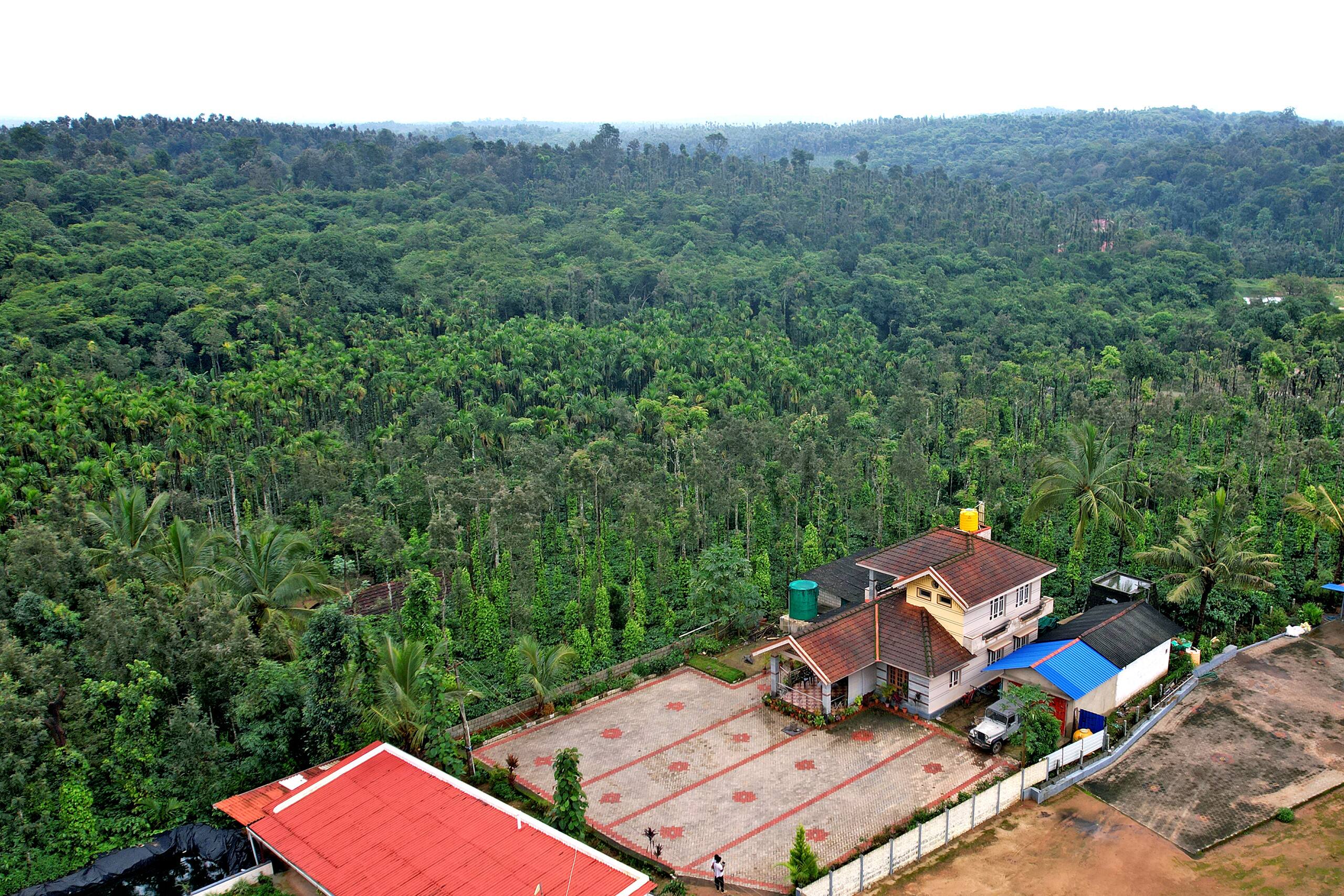 NatureSky Homestay -Full Villa, Home Food & Estate 2