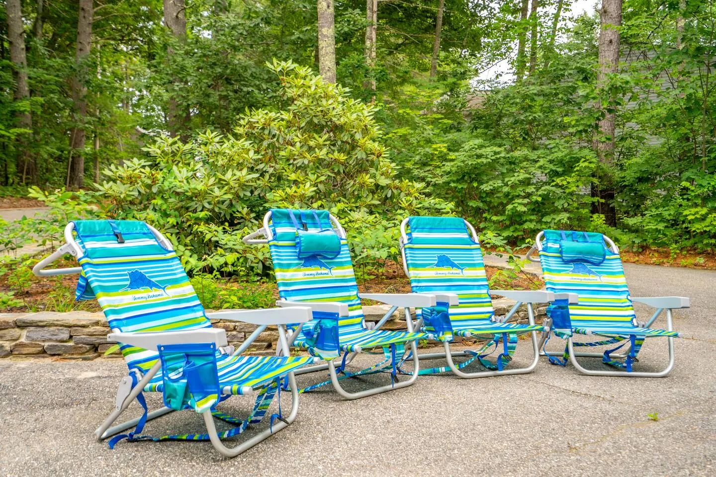 Lakeside Retreat Lake Access Grill & Fire Pit 4