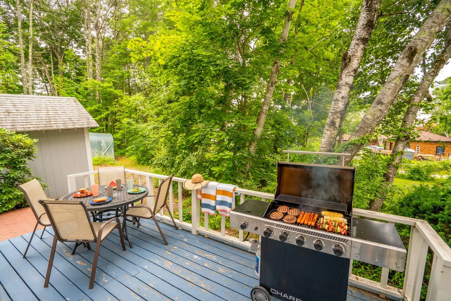 Lakeside Retreat Lake Access Grill & Fire Pit 5
