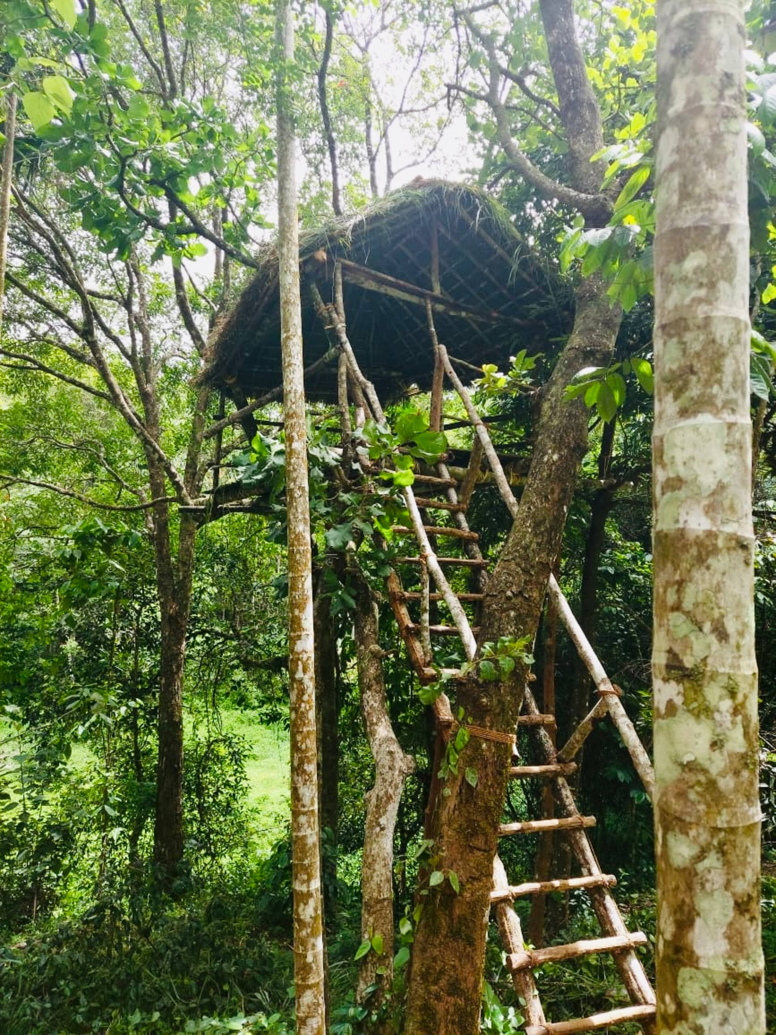 The Perch at Druv Dakshin Farms 34