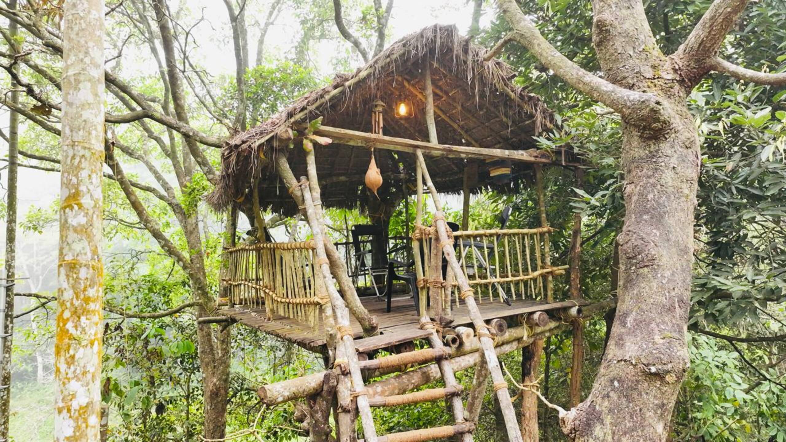 The Perch at Druv Dakshin Farms 33