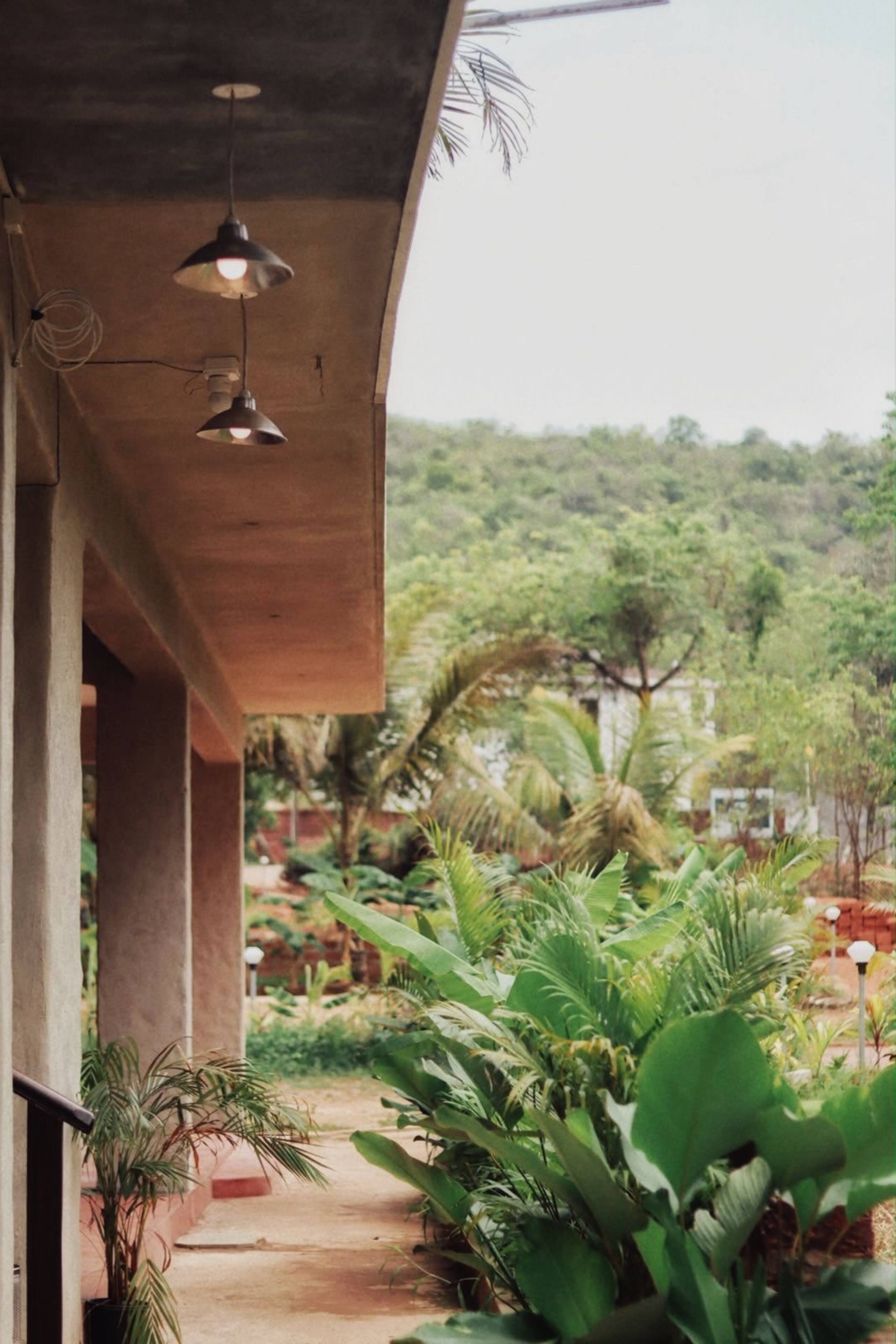Nataraj Sadan | Rooted & Restful | Farm Views 25
