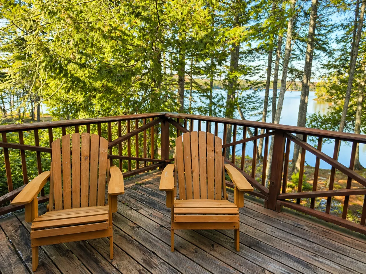 Sandbar Cabin Dog-Friendly Lakefront Cabin with Dock 11