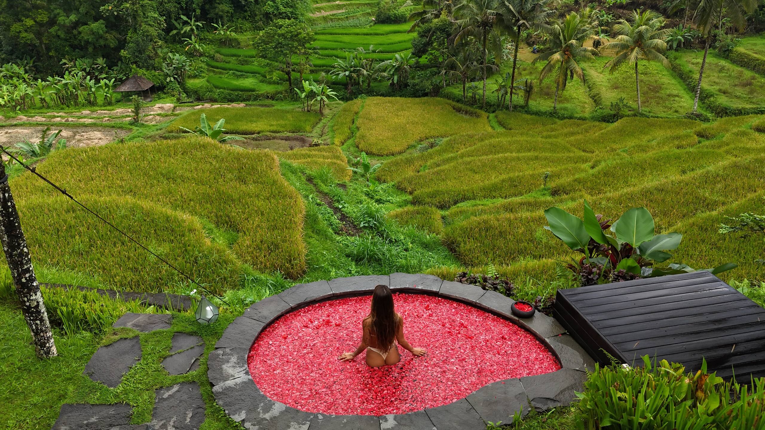 Camaya Bali - Lotus Bamboo House — photo 2