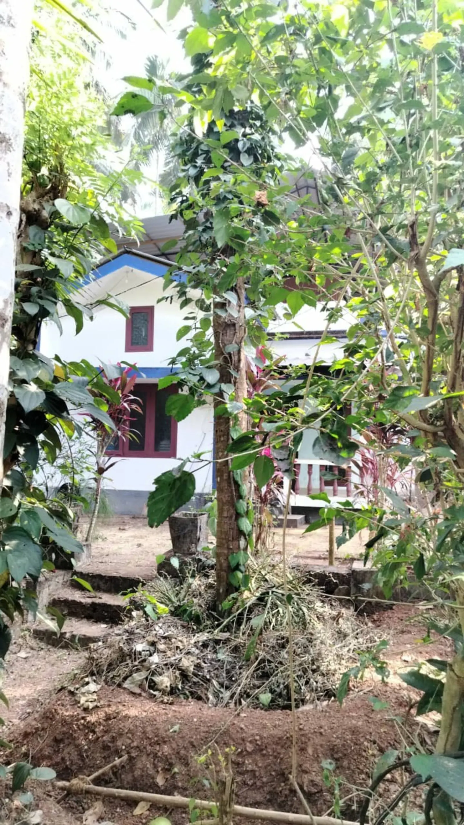 House in farm landscape near city 30