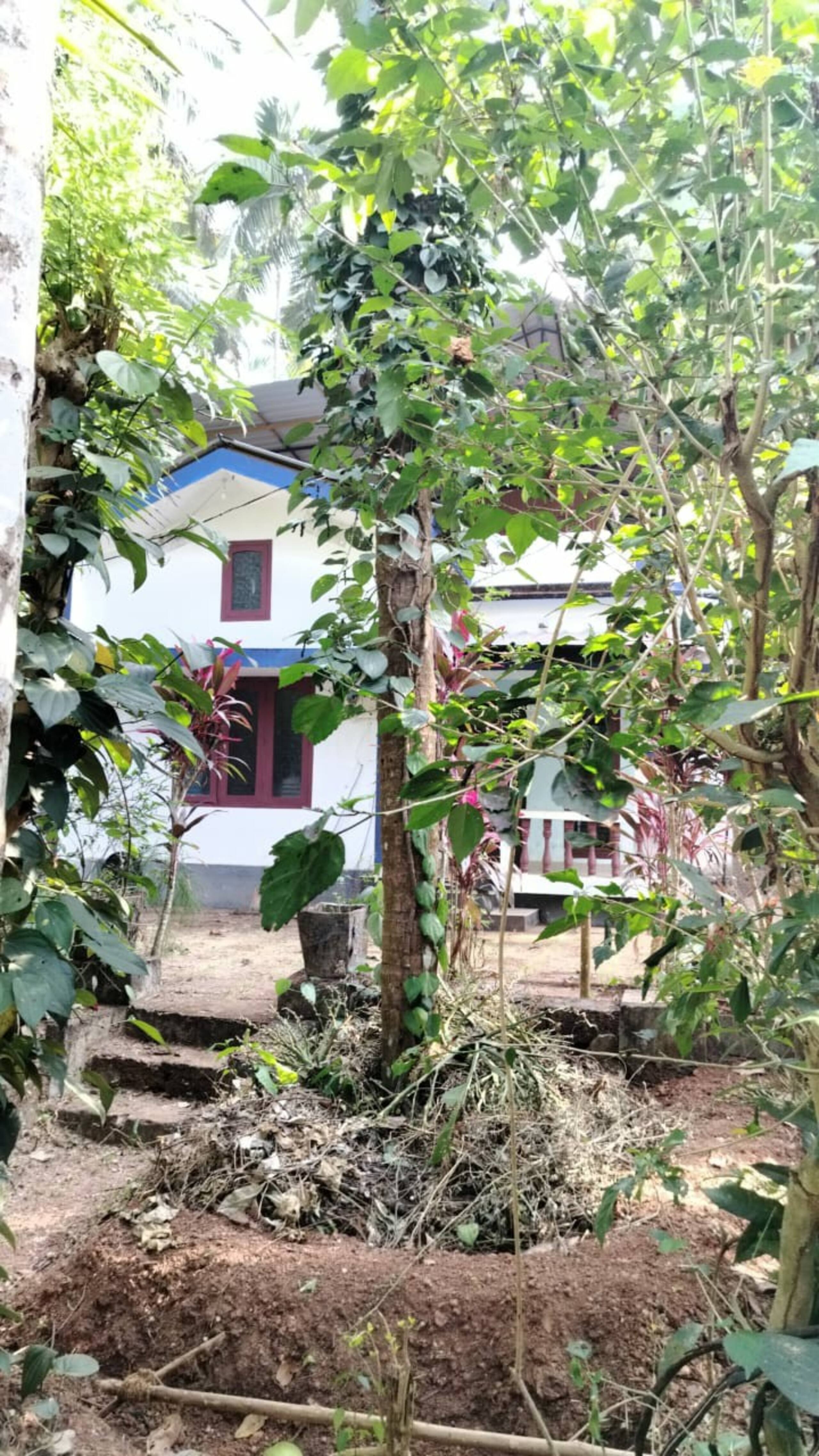 House in farm landscape near city 30