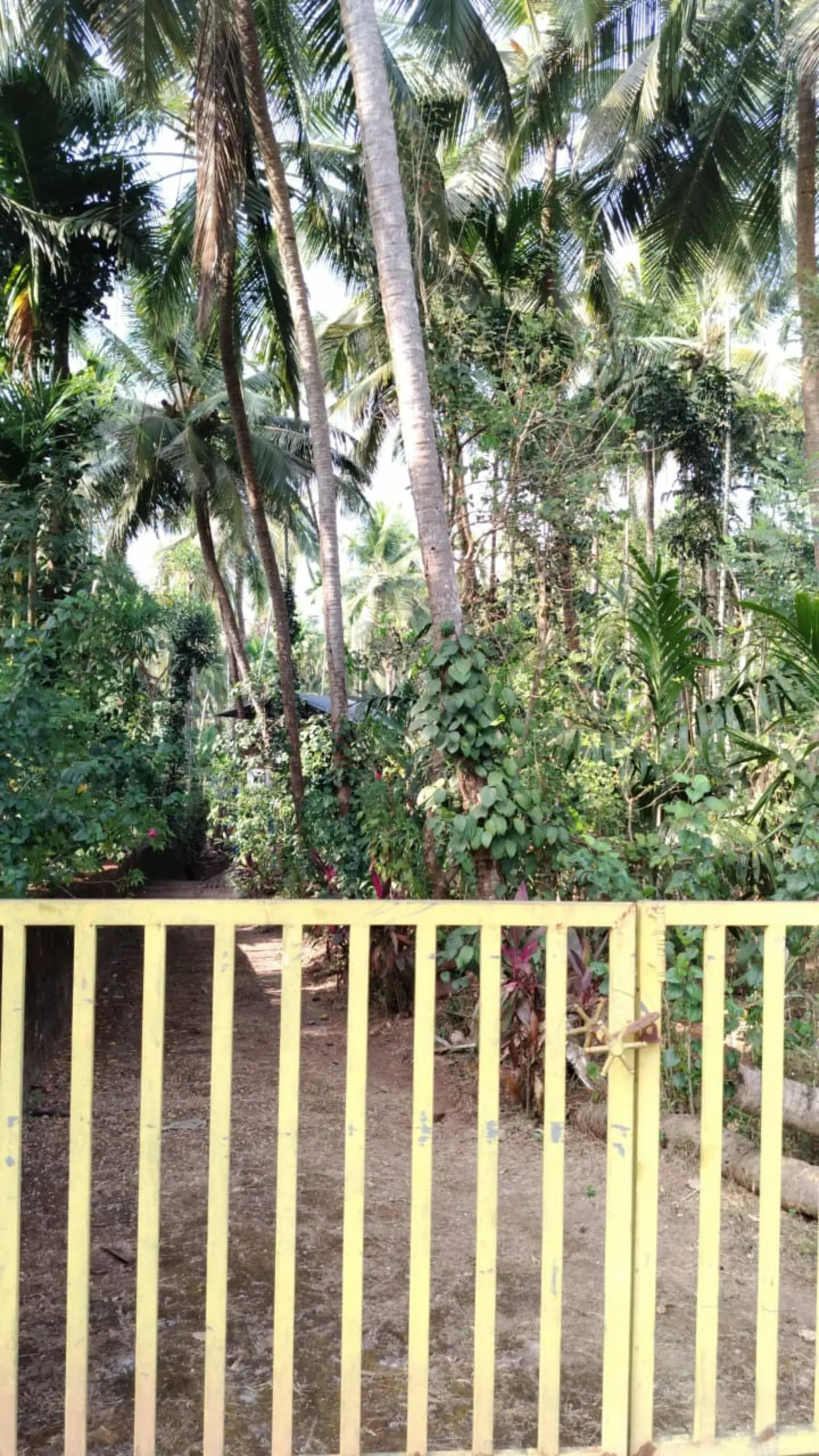 House in farm landscape near city 31