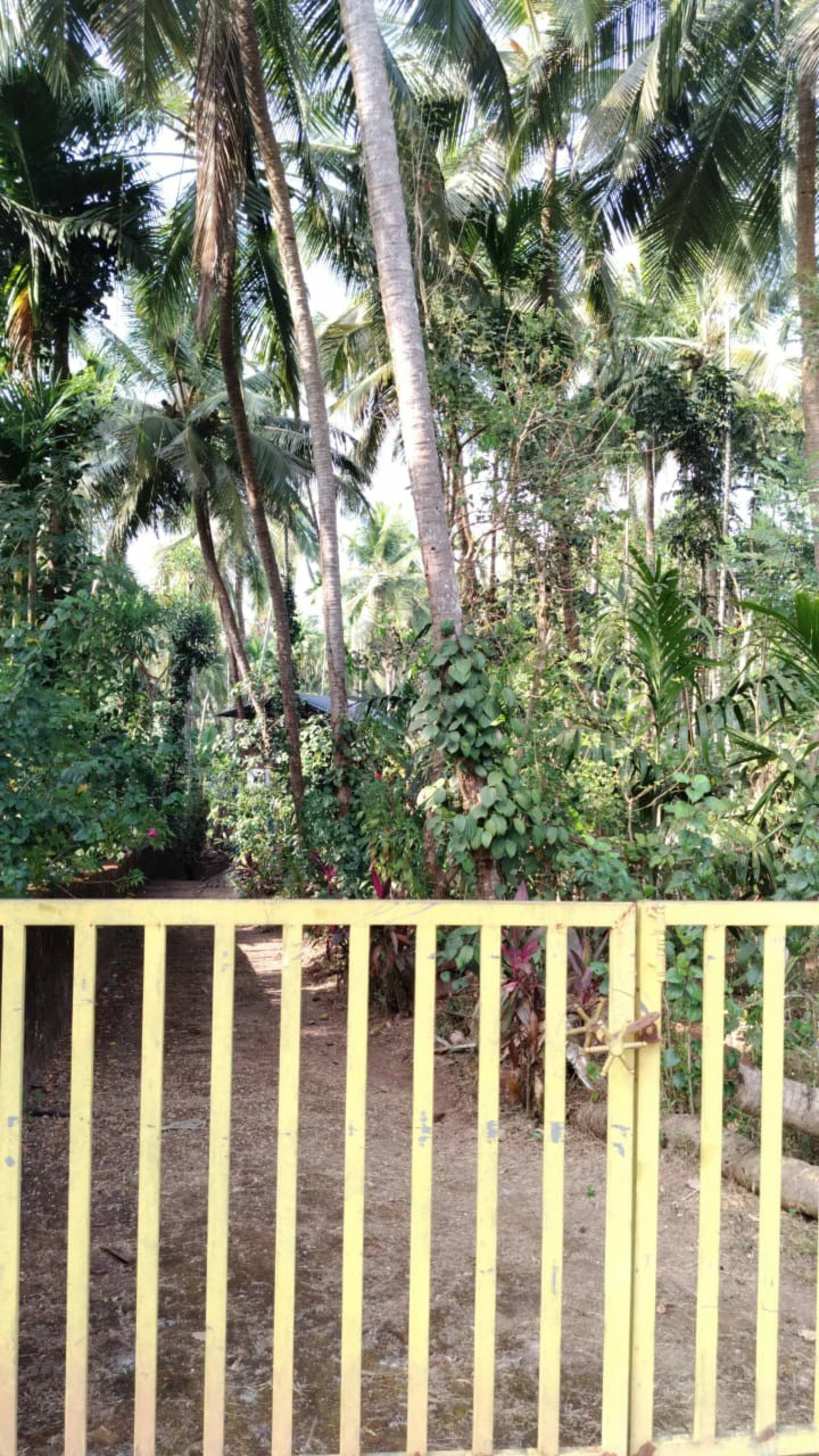 House in farm landscape near city 31