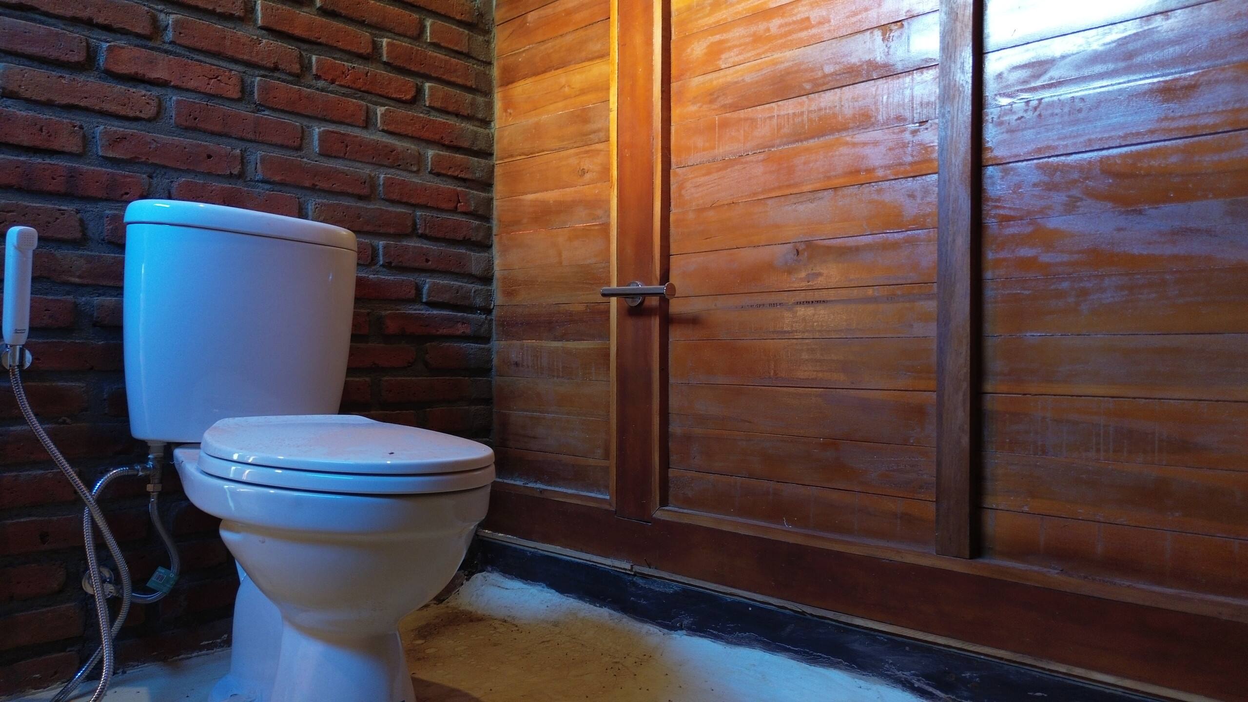Villa Kayu Amertha Bedugul - 1BR — photo 5