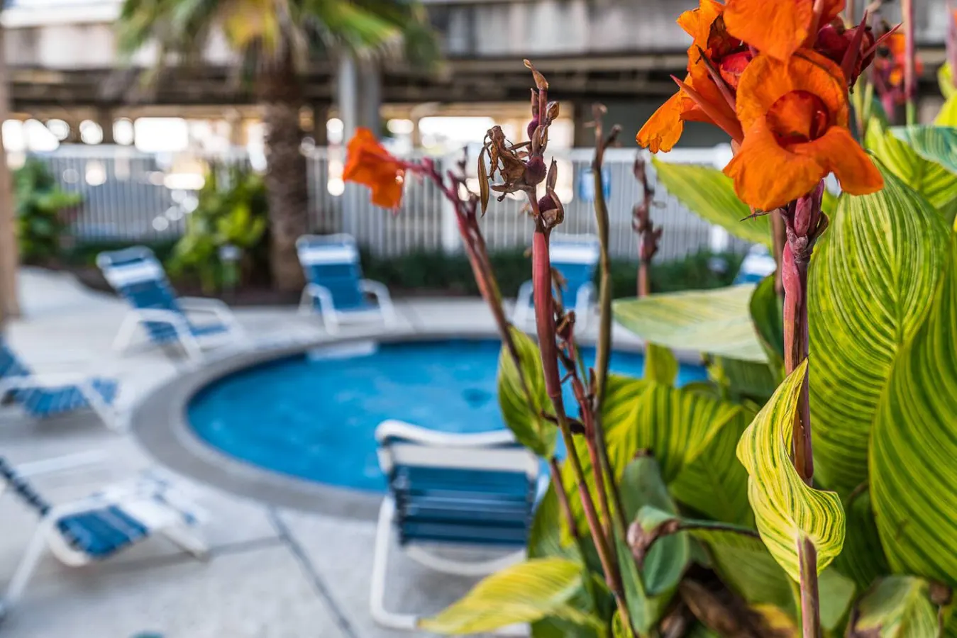 Heated Pools, Hot Tubs & Easy Beach Access 17