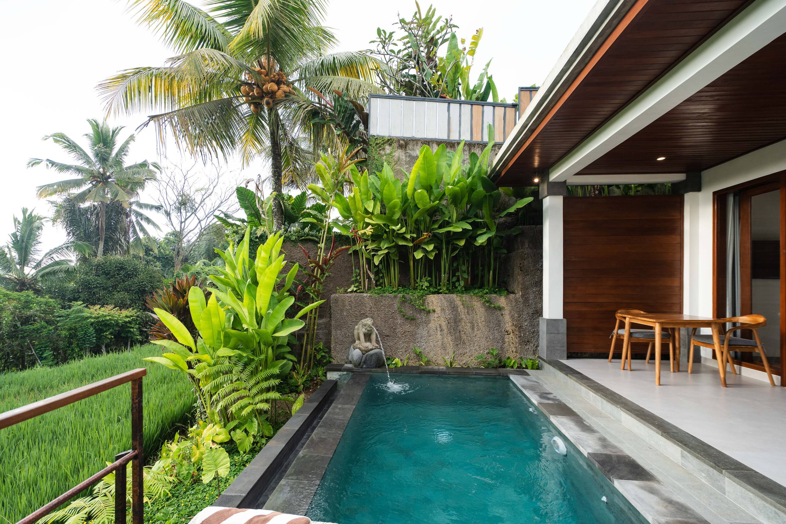 1 Bed Room pool Villa With rice field view 22