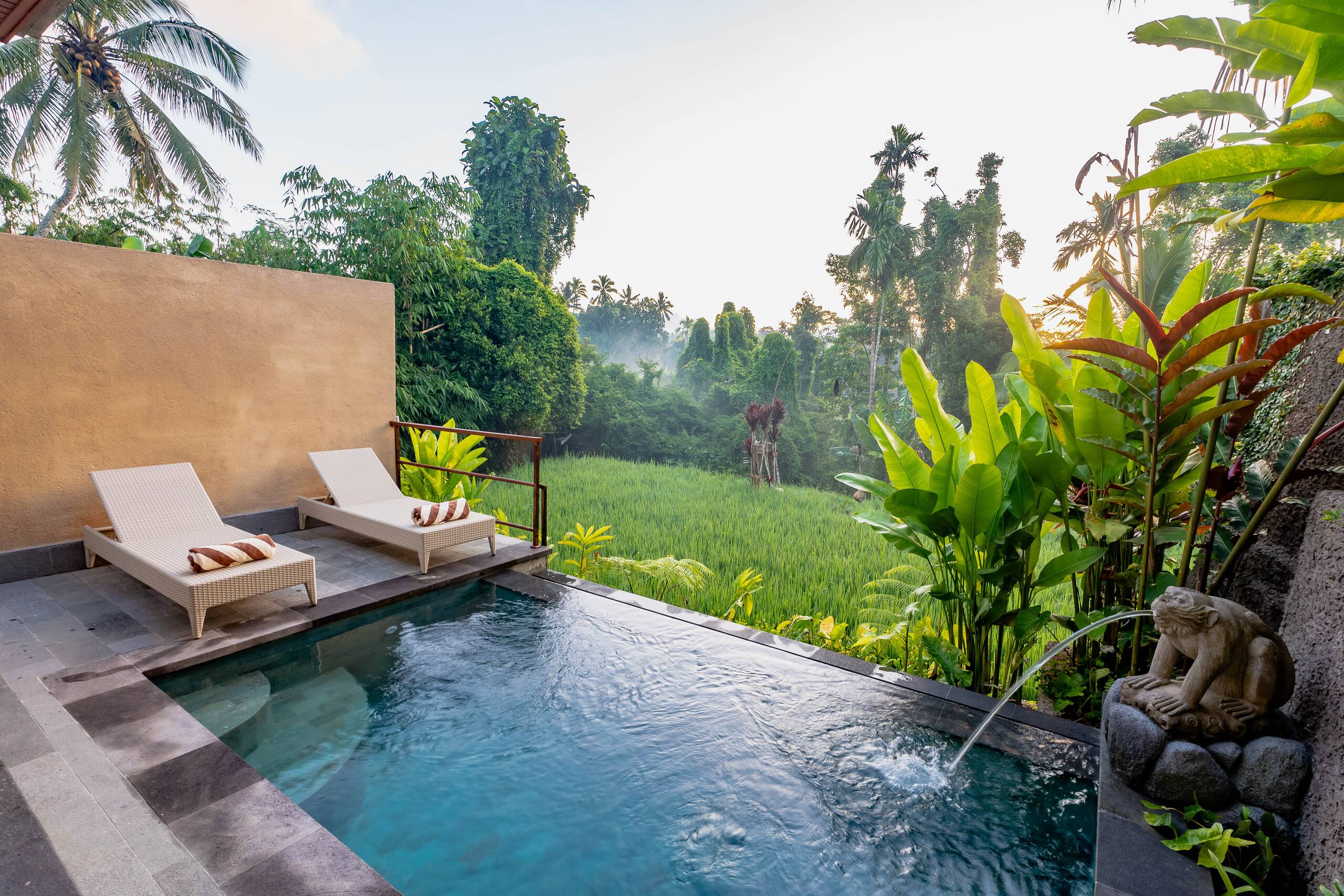 1 Bed Room pool Villa With rice field view