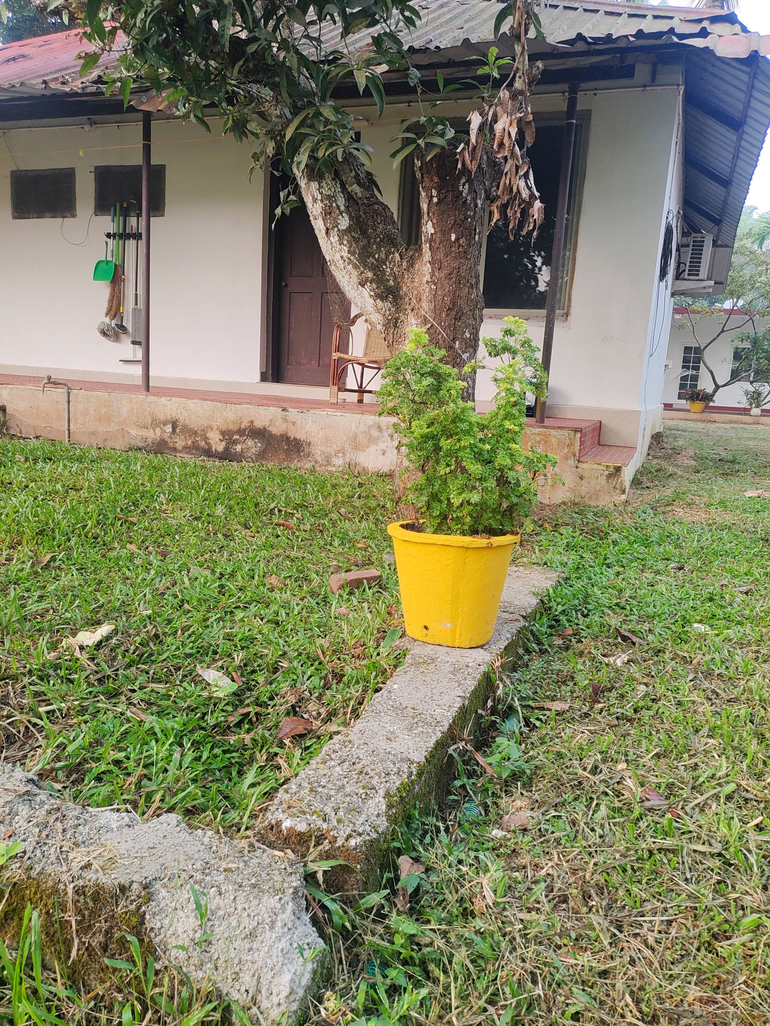 Greenearth Farmstay Cottage by Mangotree-1 22