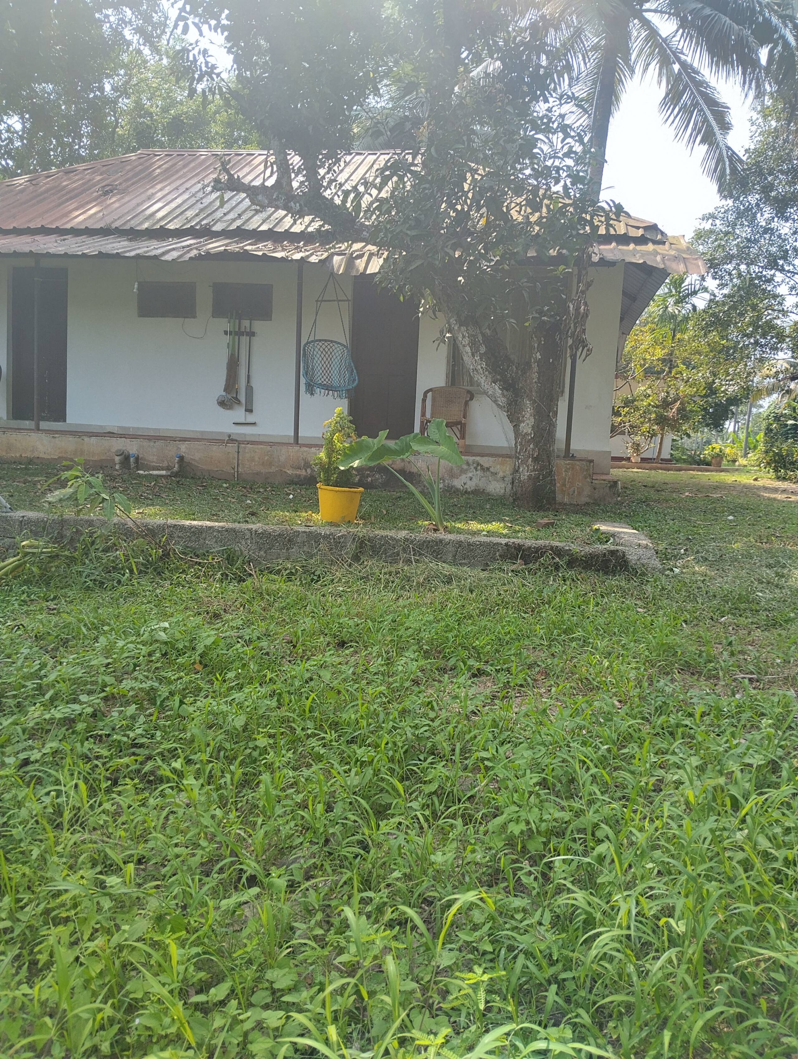 Greenearth Farmstay Cottage by Mangotree-1 20
