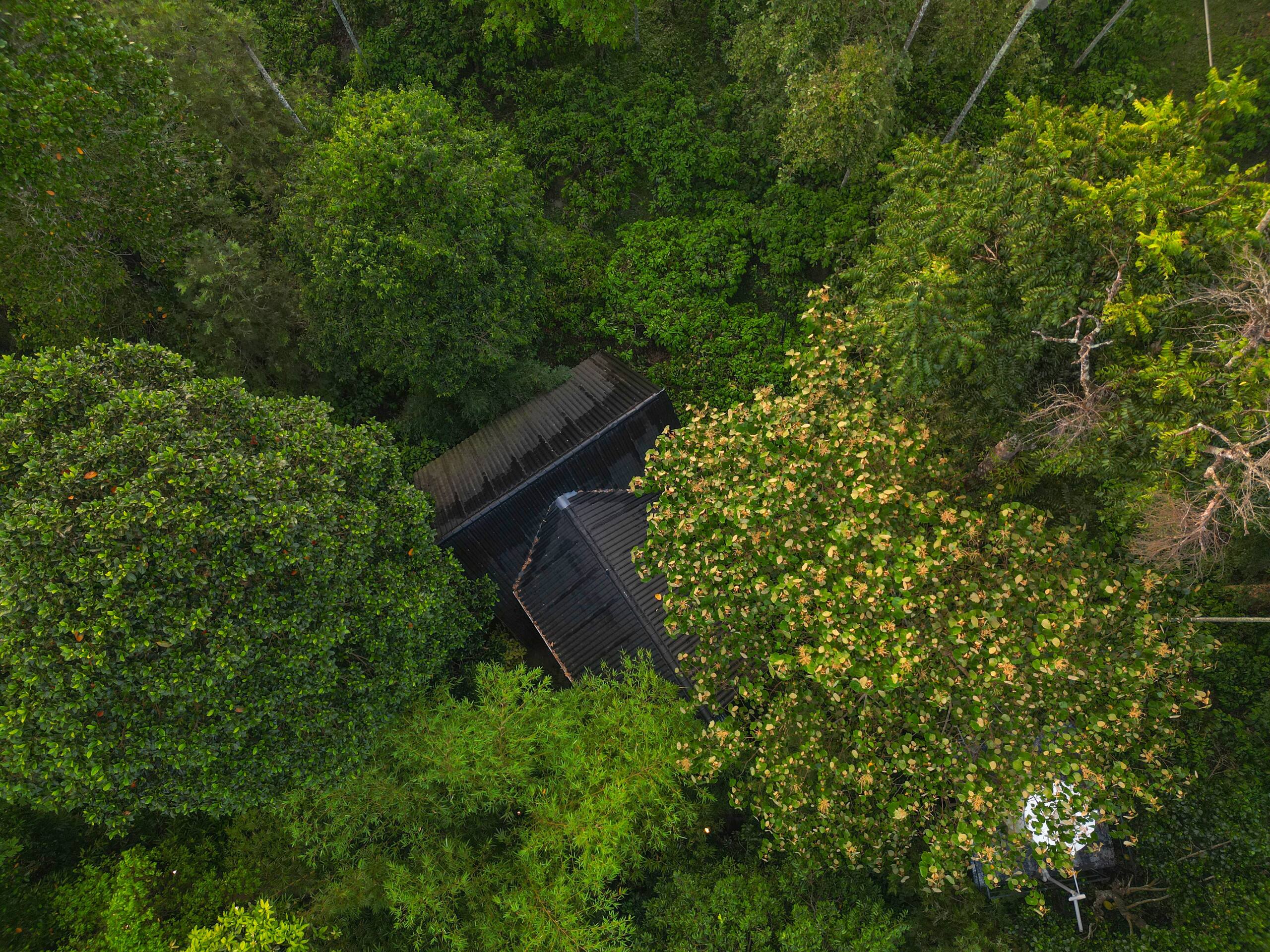 Bourbon 2BR Family Cottage | Coffee Estate Stay 23