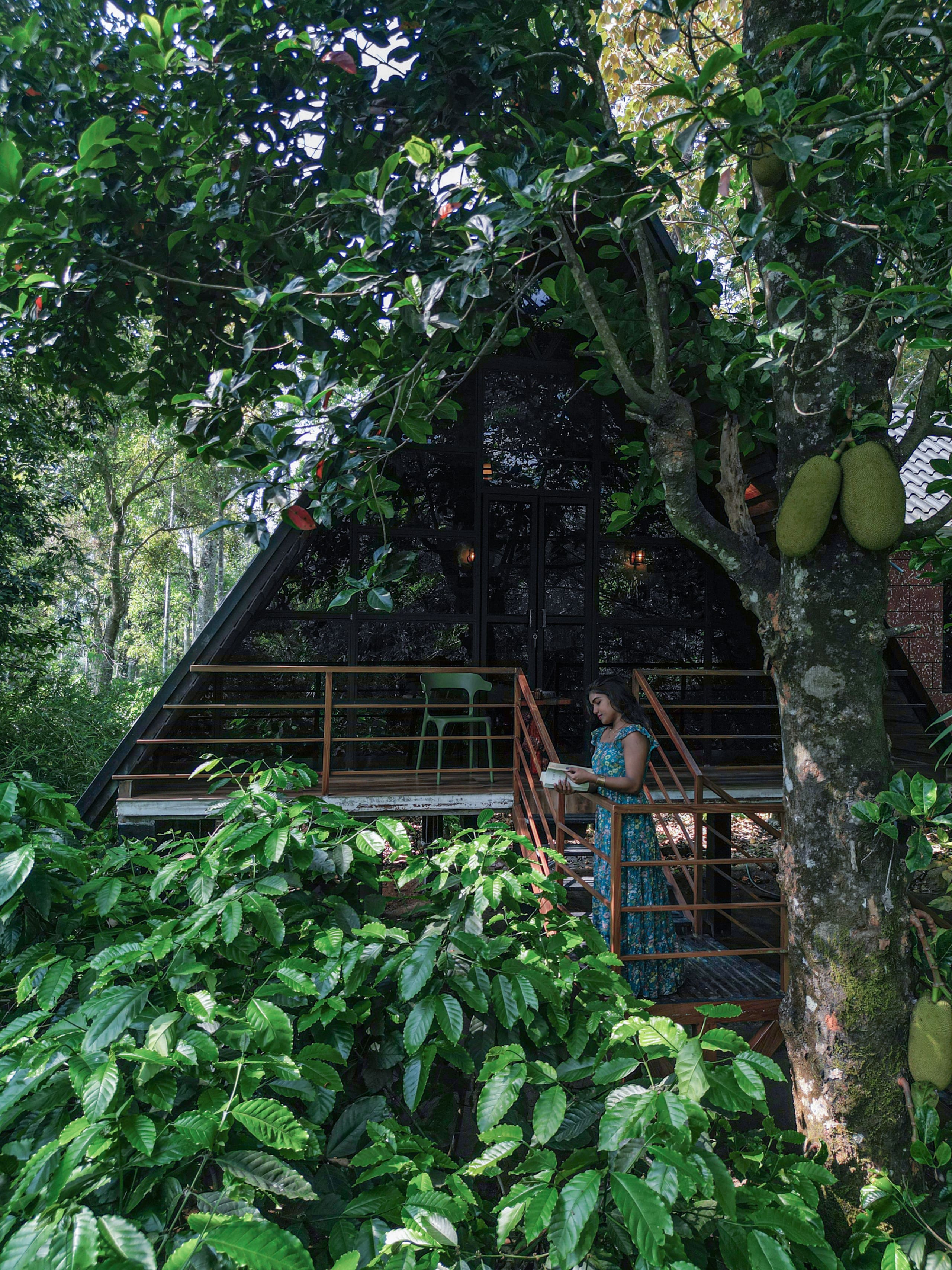Bourbon 2BR Family Cottage | Coffee Estate Stay 2