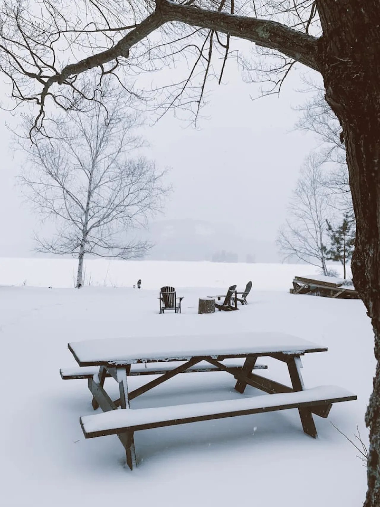 Maine Lakefront Ski Getaway, sleeps 6 12