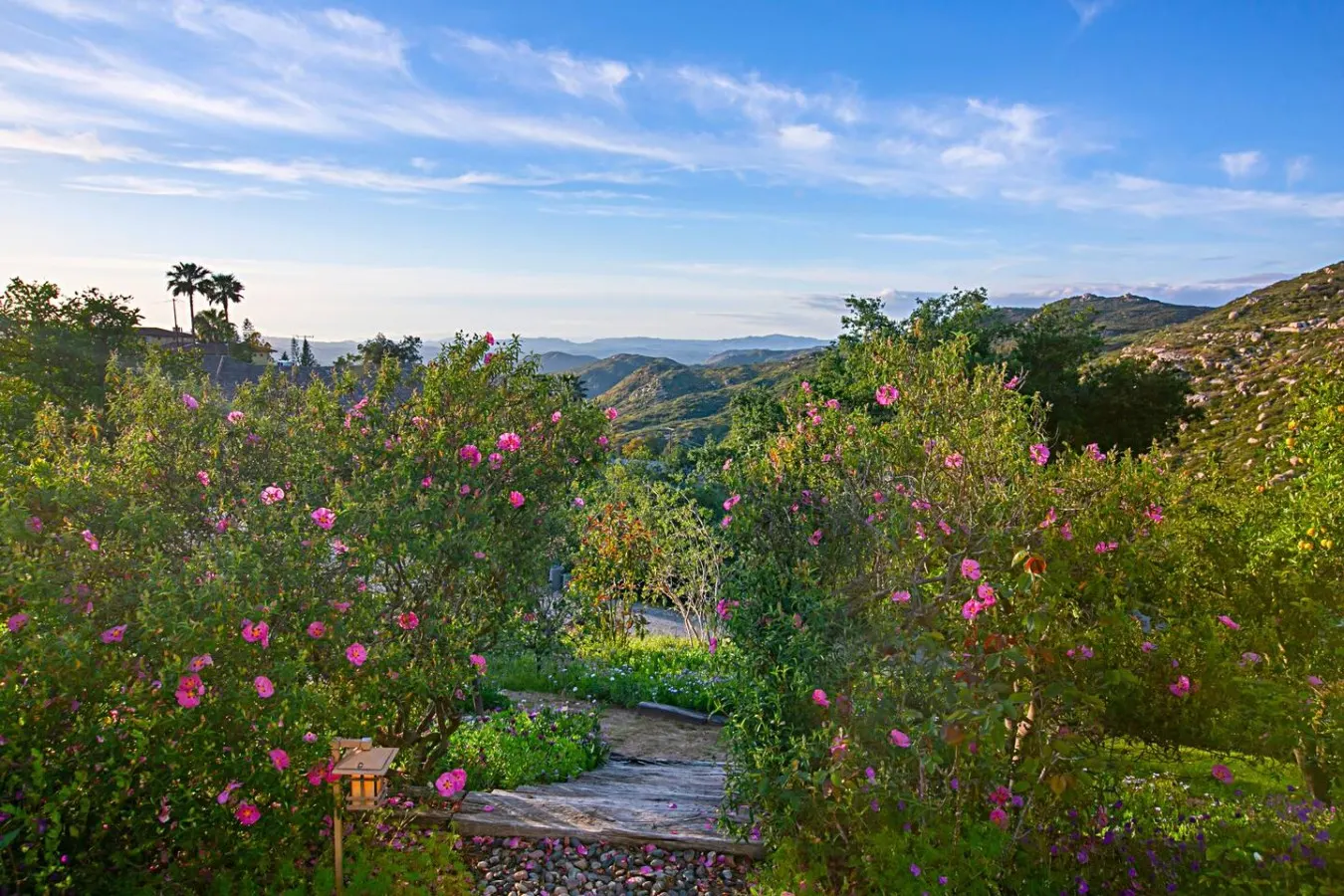 Private 2.5-Acre Nature Retreat with Pool, Spa & Water Slide 20