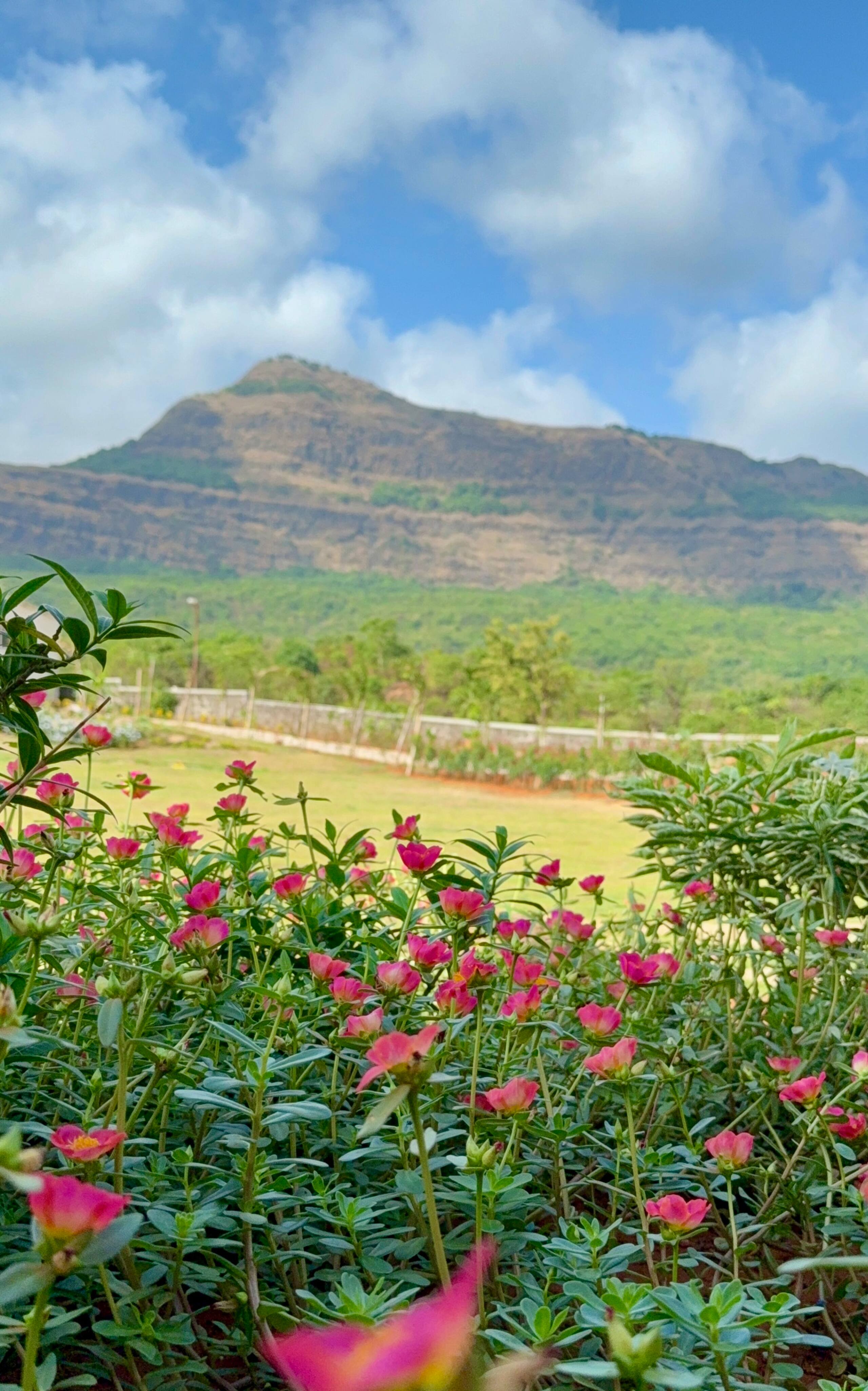 Yunitree Villa-Luxury Pool Retreat-Lonavala, Pawna 34