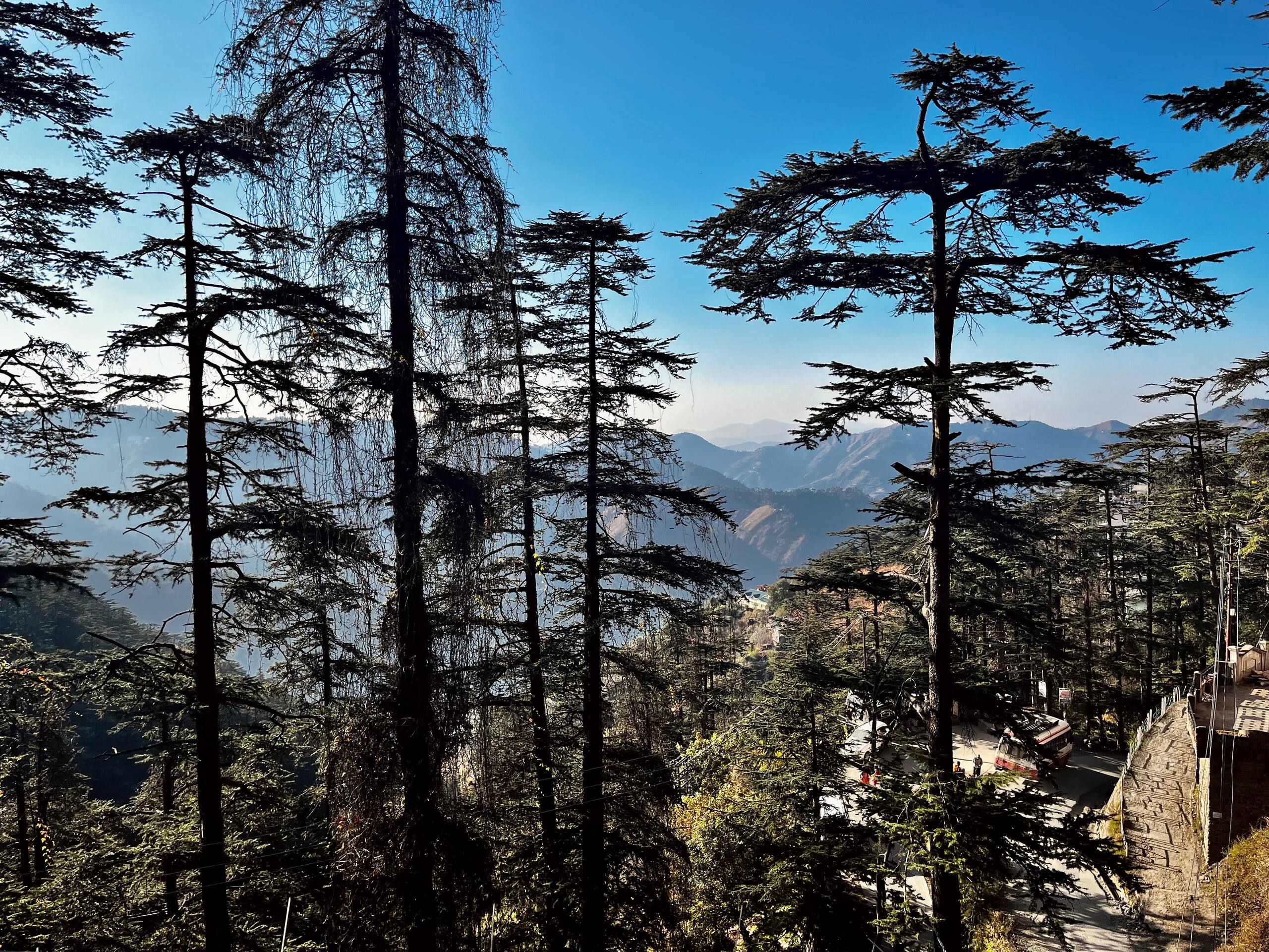 Cedar View Home- 2BHK Claridge's Residency,Shimla 27