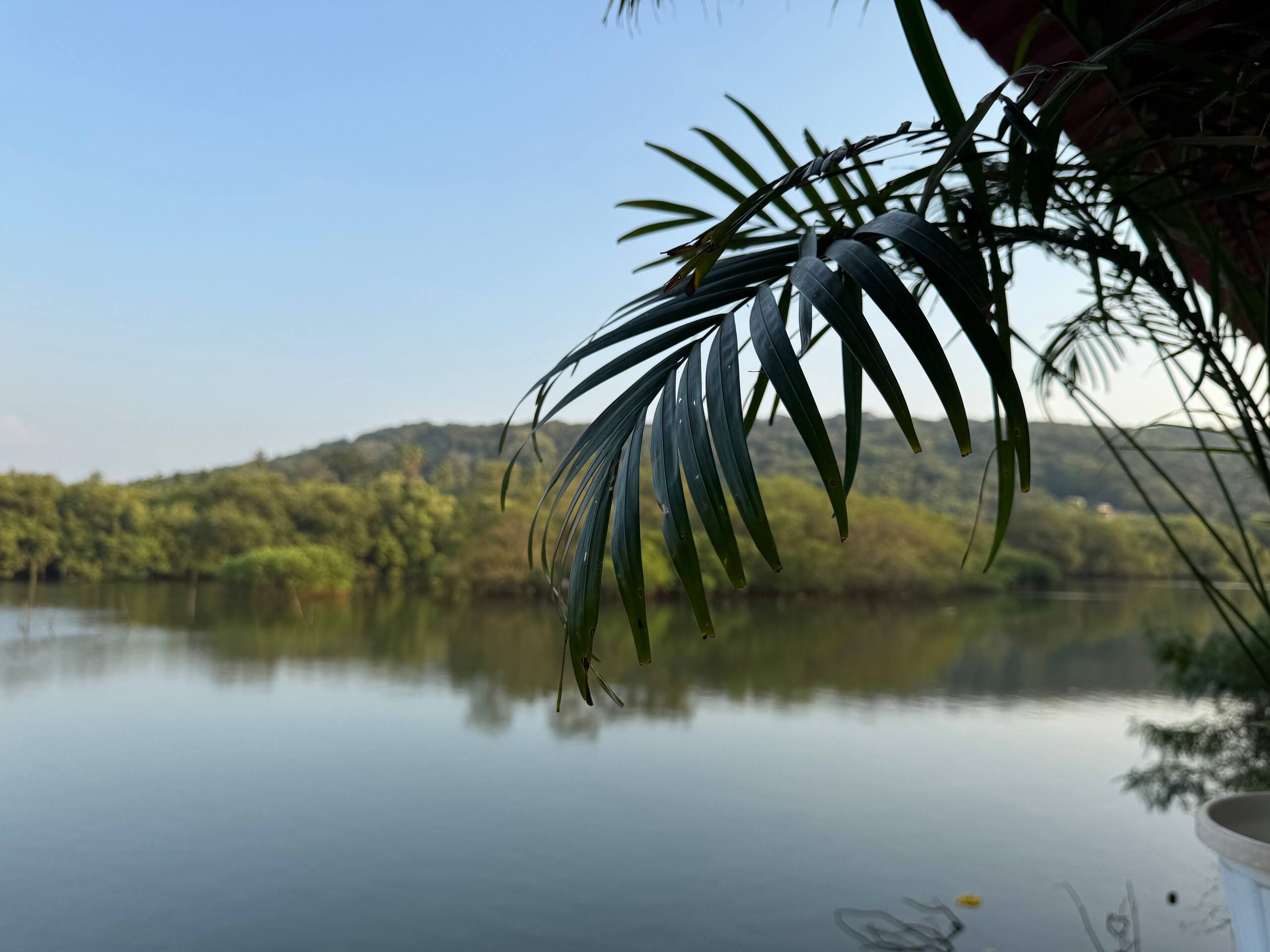 Riverfront house | LivLig.stays |15 min to anjuna 8